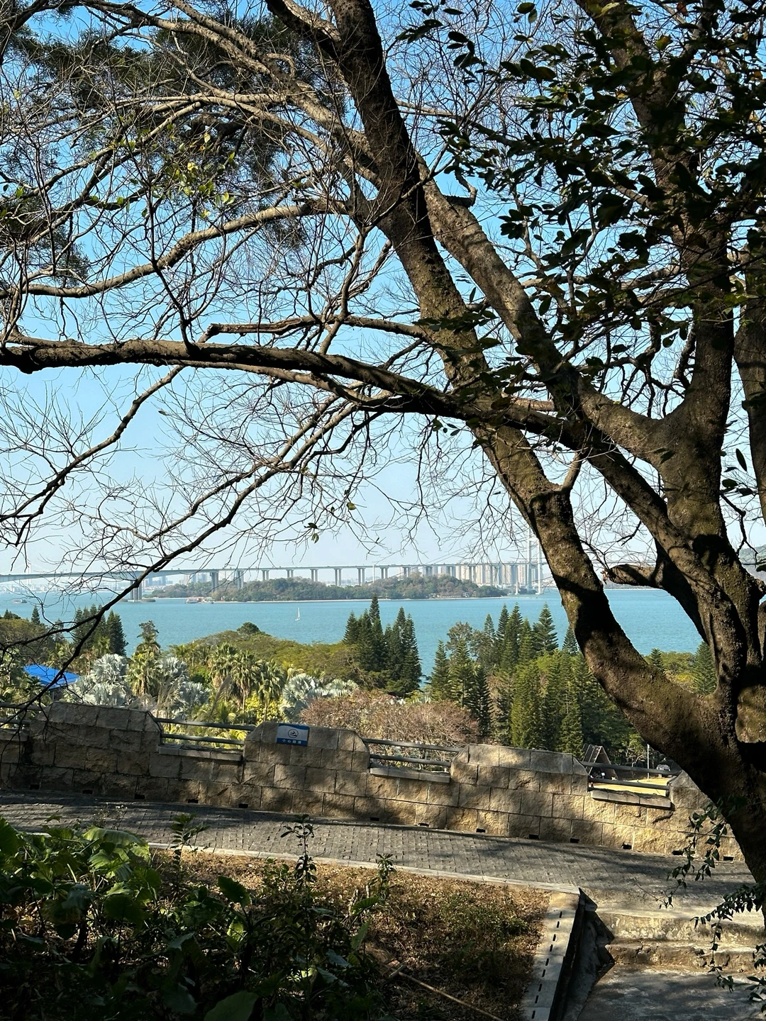 广州📍南沙 地铁直达看海 一日citywalk🏝️