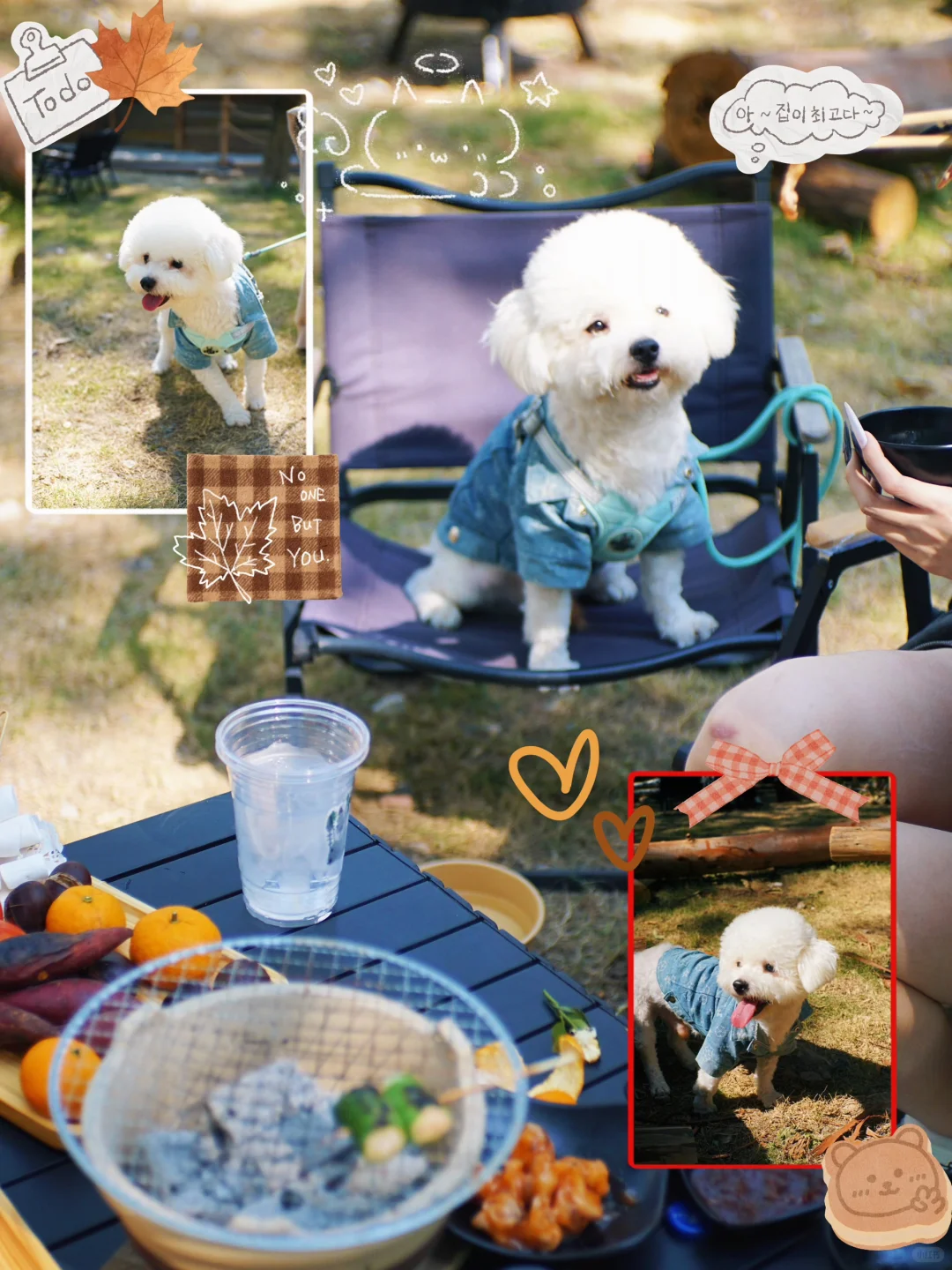 广州市区也有啦❕🐕‍🦺小狗周末露营地🏕️