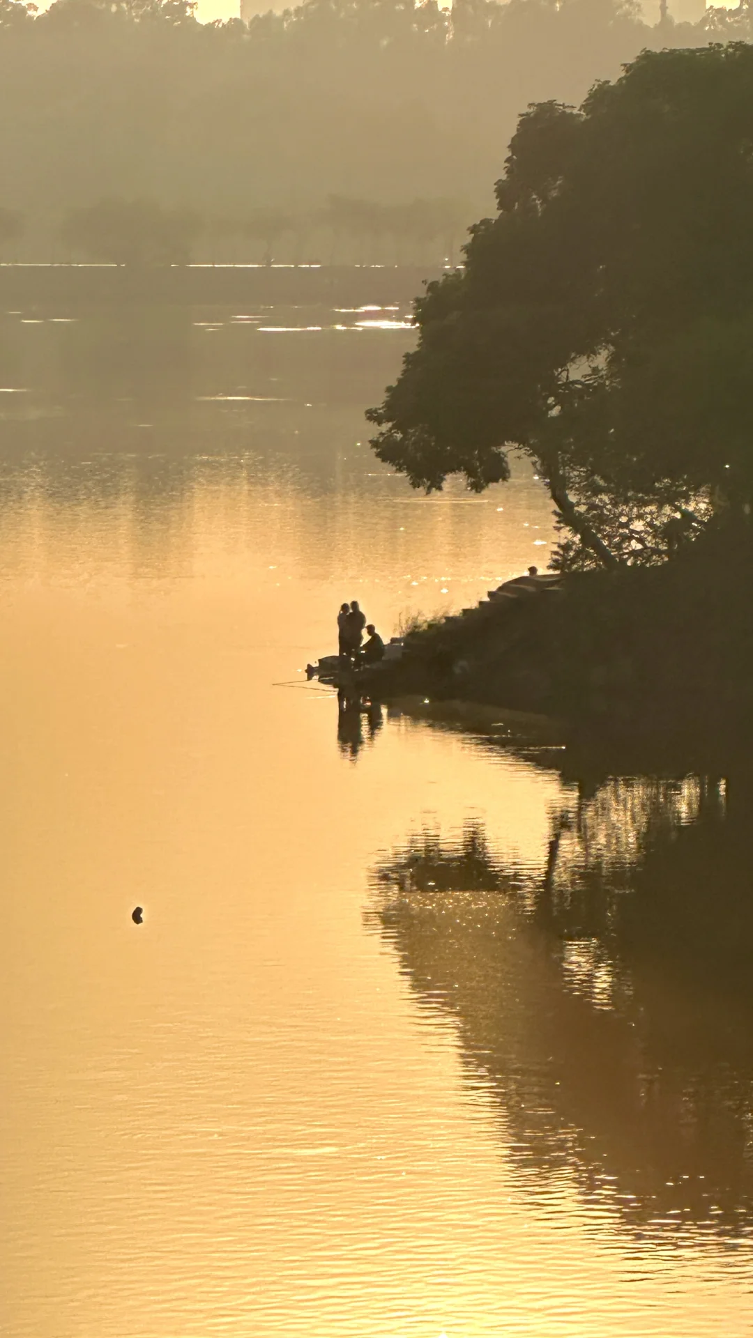 🏕️ 东莞也有属于自己的“小洱海”