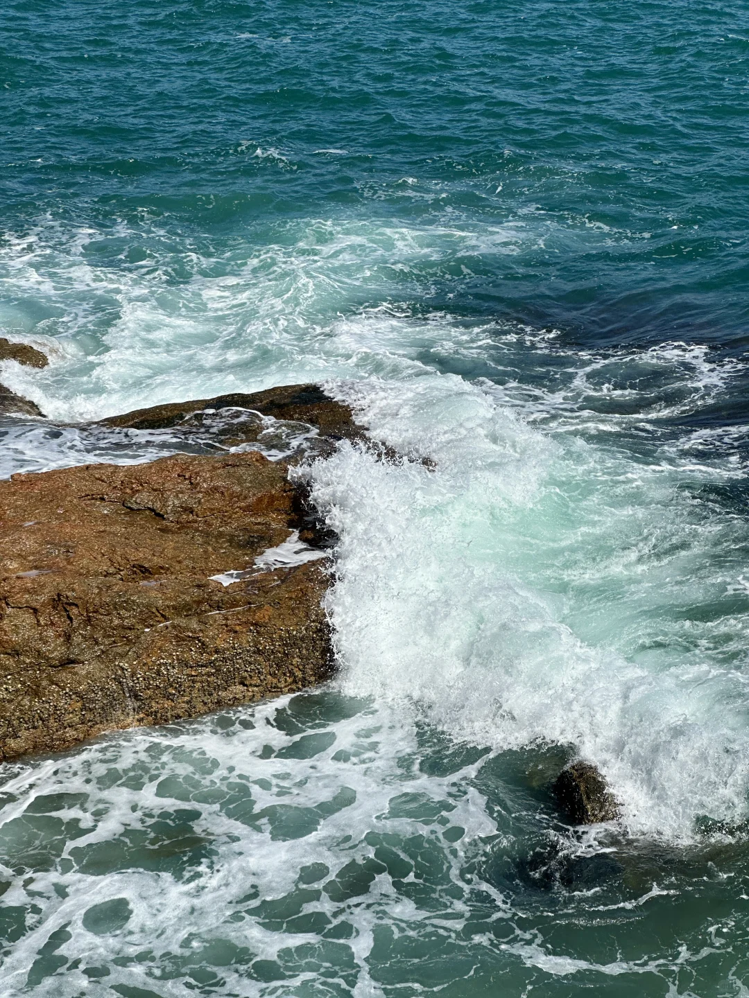 深圳🚇地铁直达海边栈道，秋天徒步太舒服