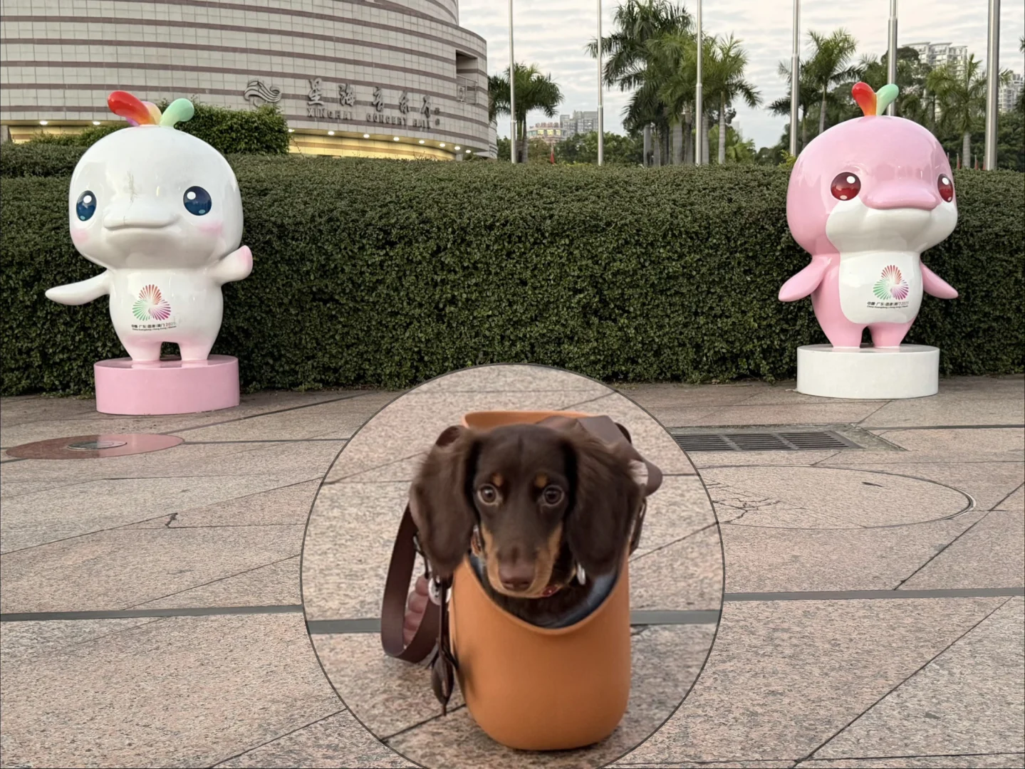 我来广州啦！带来了好消息✌️✌️✌️