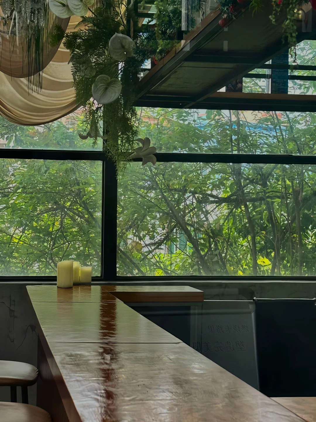 淡人 独处 东莞树景玻璃屋发呆1h恢复能量