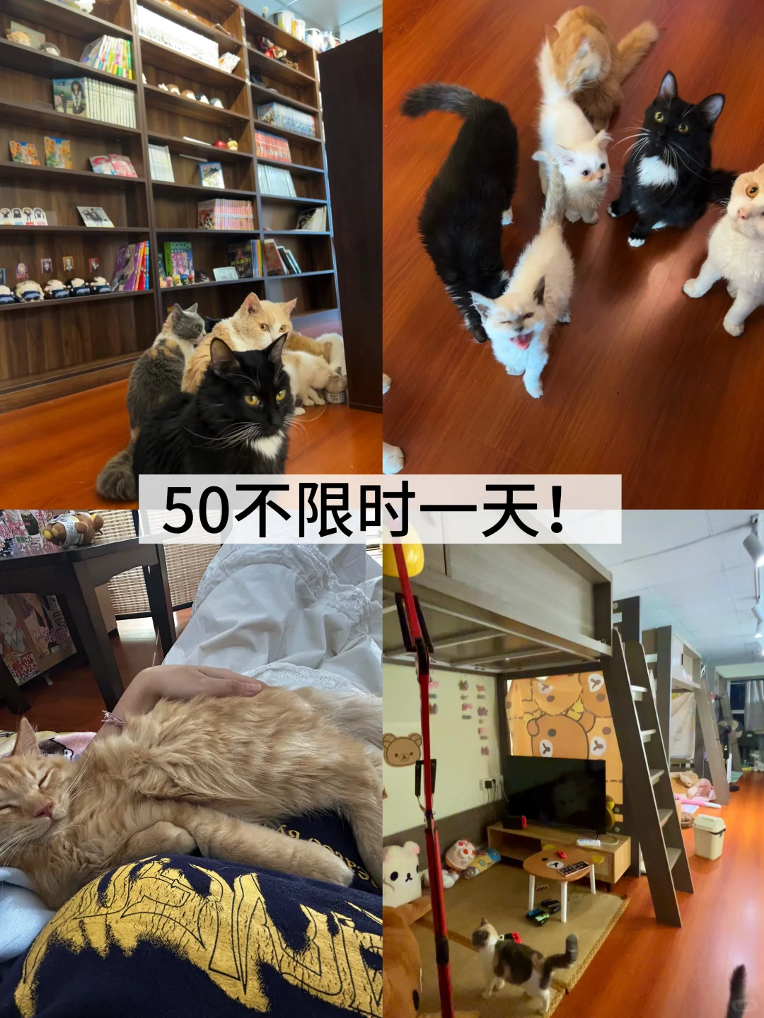 广州！50不限时一天！