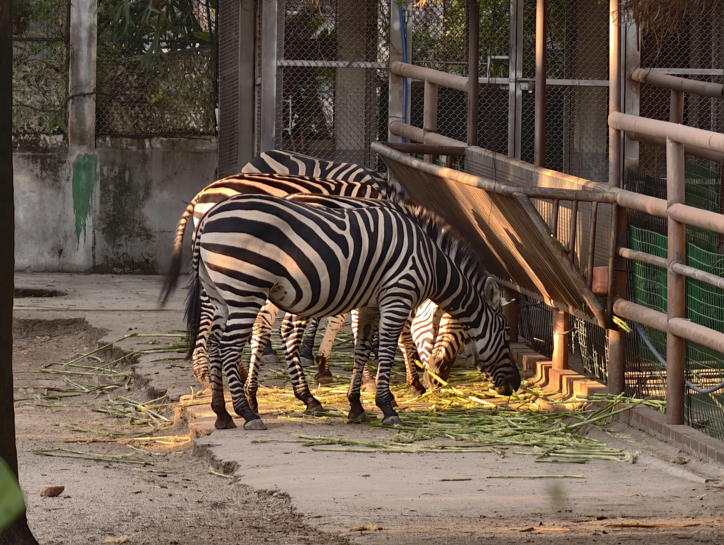 广州动物园，下次还来！