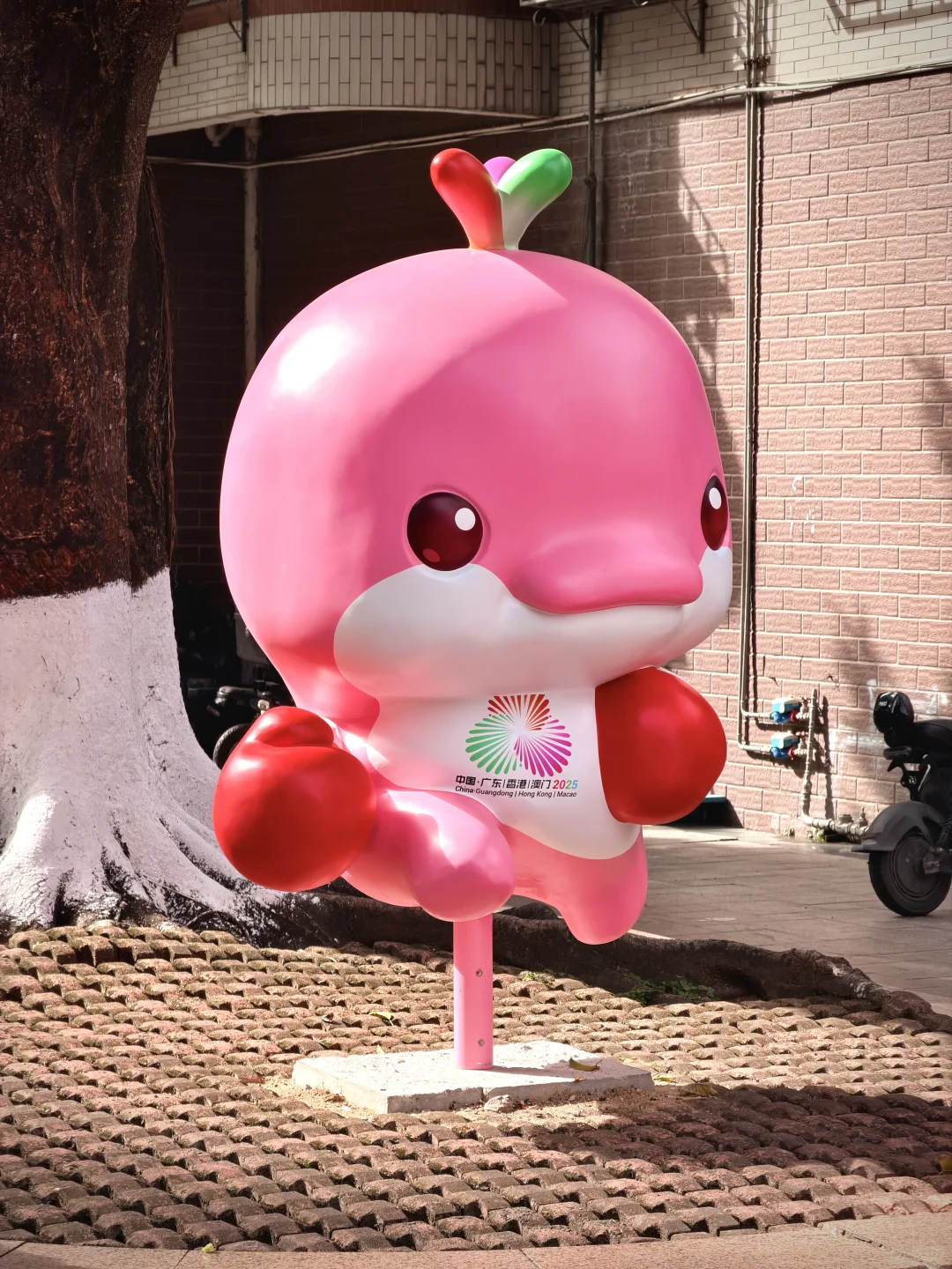 六运小区的大湾鸡，下次来广州可否再见？😭