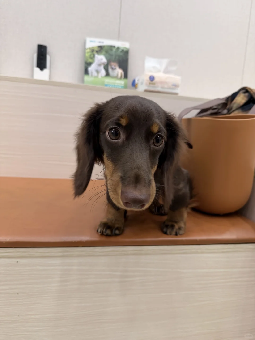 我来广州啦！带来了好消息✌️✌️✌️