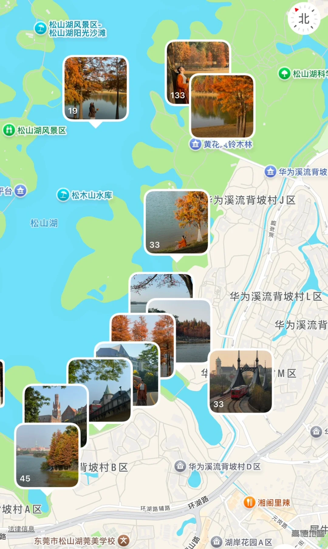 不是大理！现在的东莞美得像油画📱1.6实拍