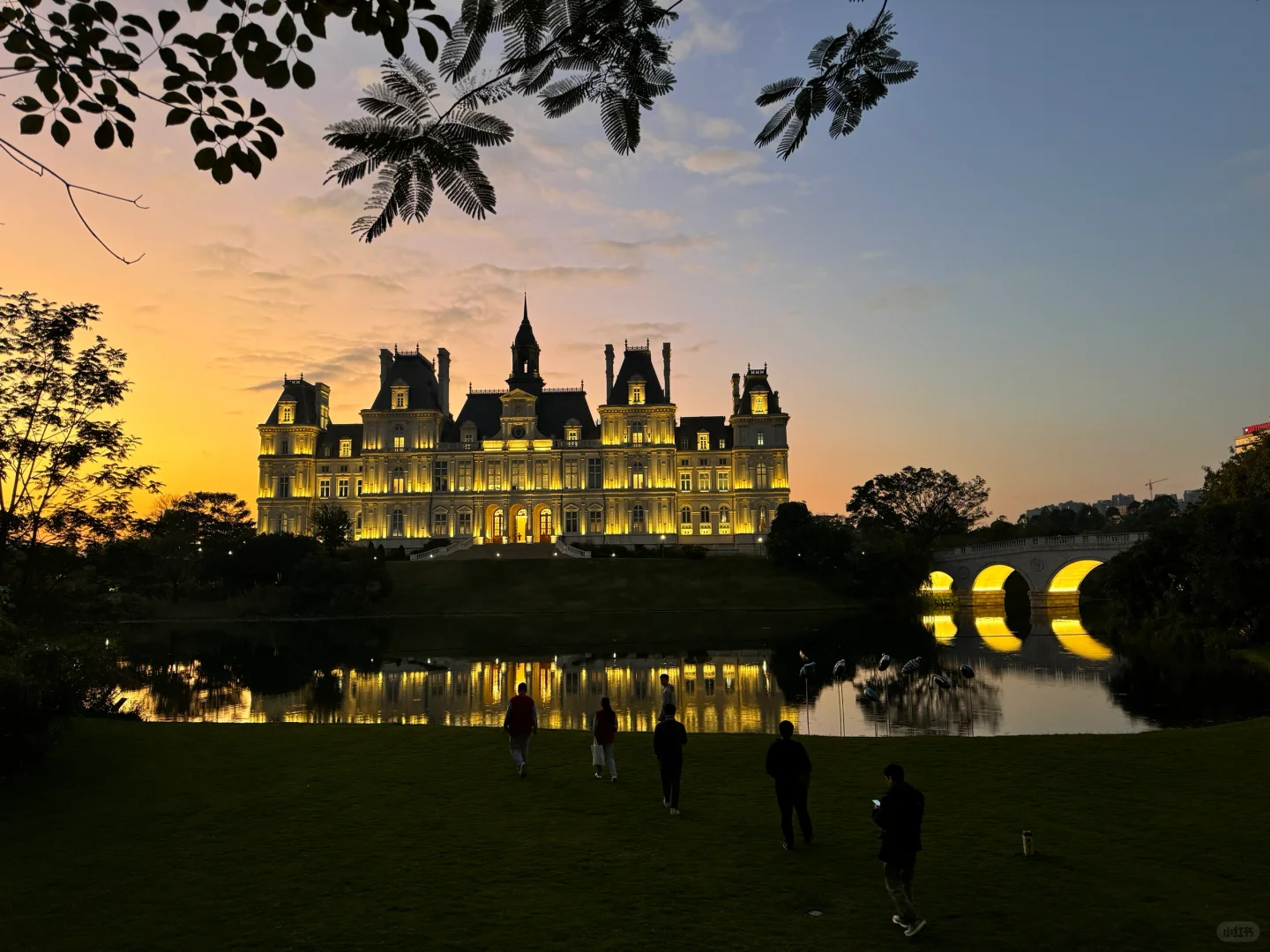 🦋华为三丫坡不要太美…