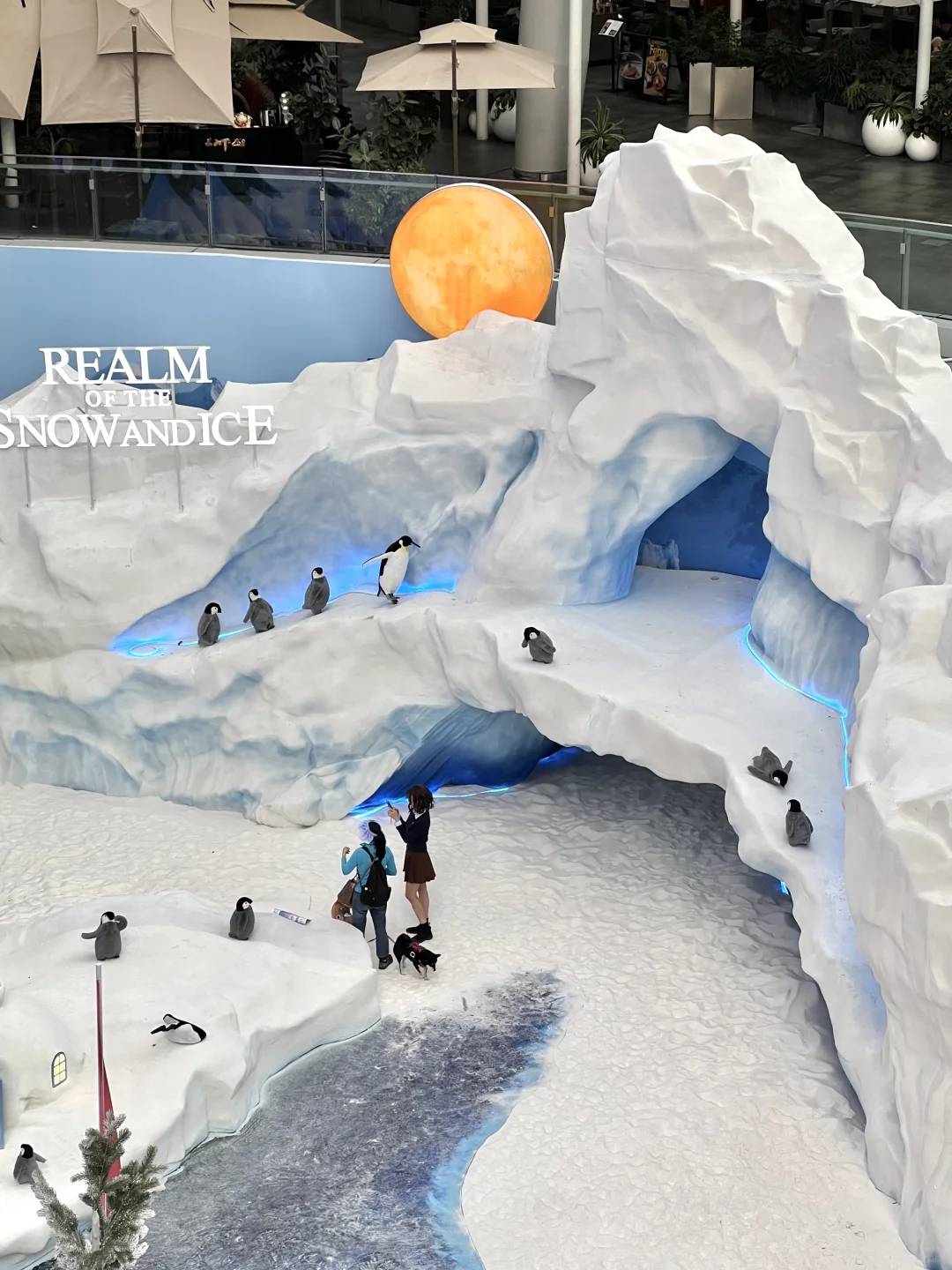 深圳不要钱的雪景随便拍，好浪漫呀❄️❄️