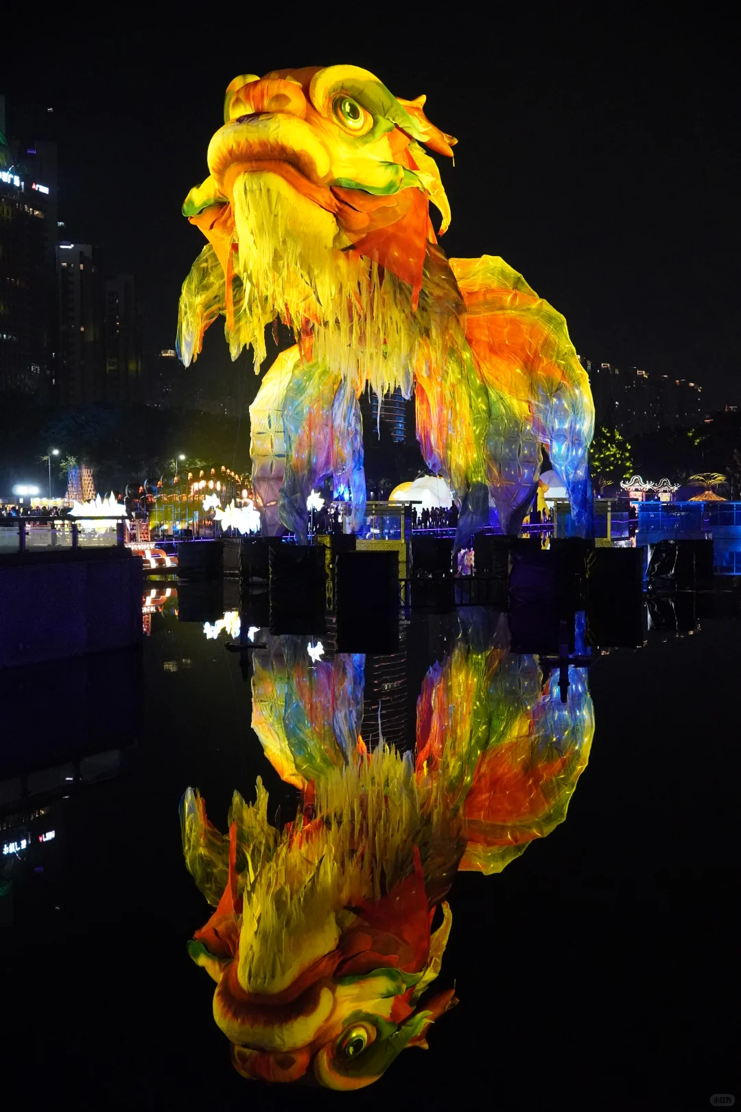 广州鳌鱼出差深圳！灯光节版本已成限定款！😎