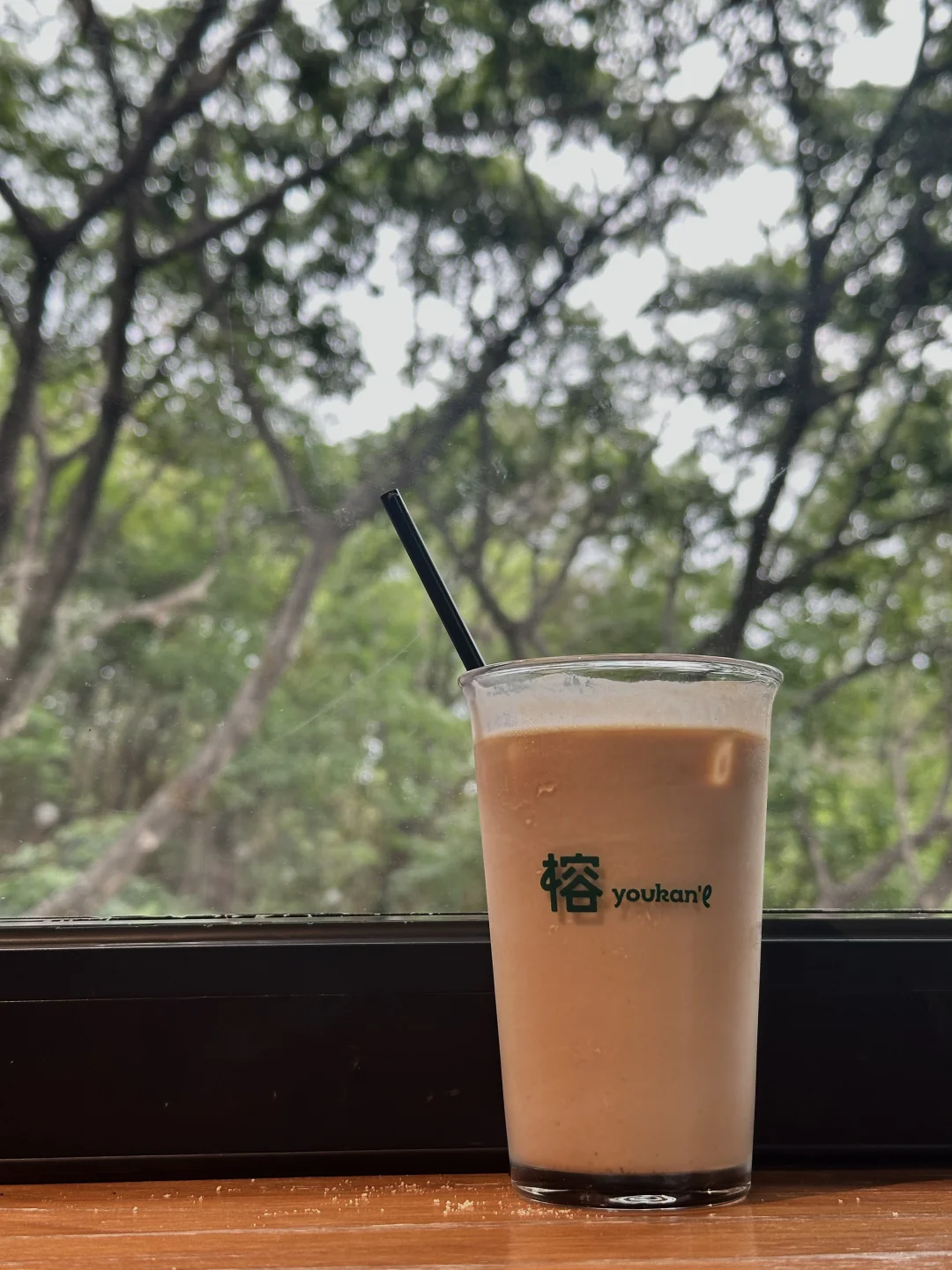 淡人 独处 东莞树景玻璃屋发呆1h恢复能量