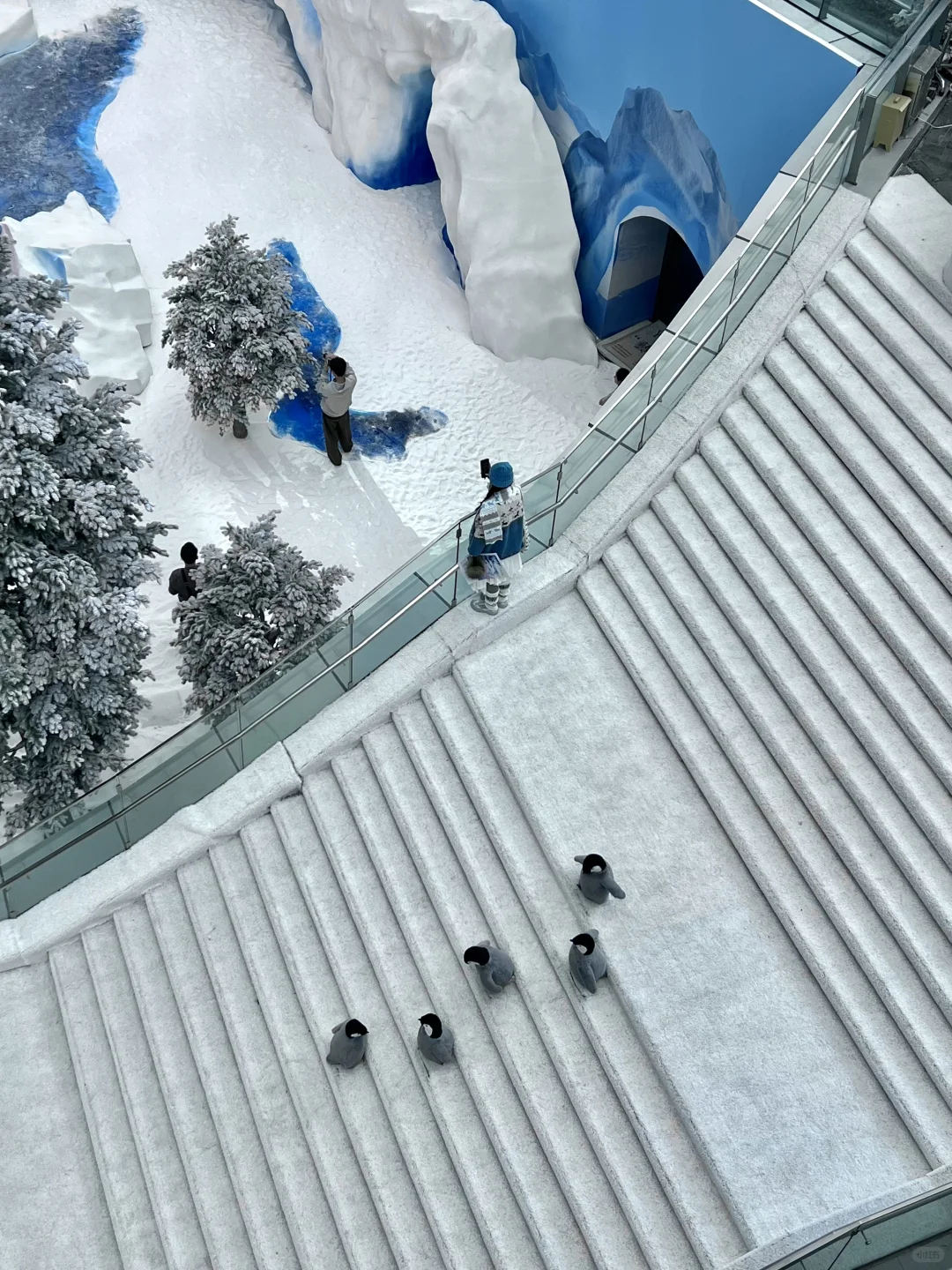 深圳不要钱的雪景随便拍，好浪漫呀❄️❄️