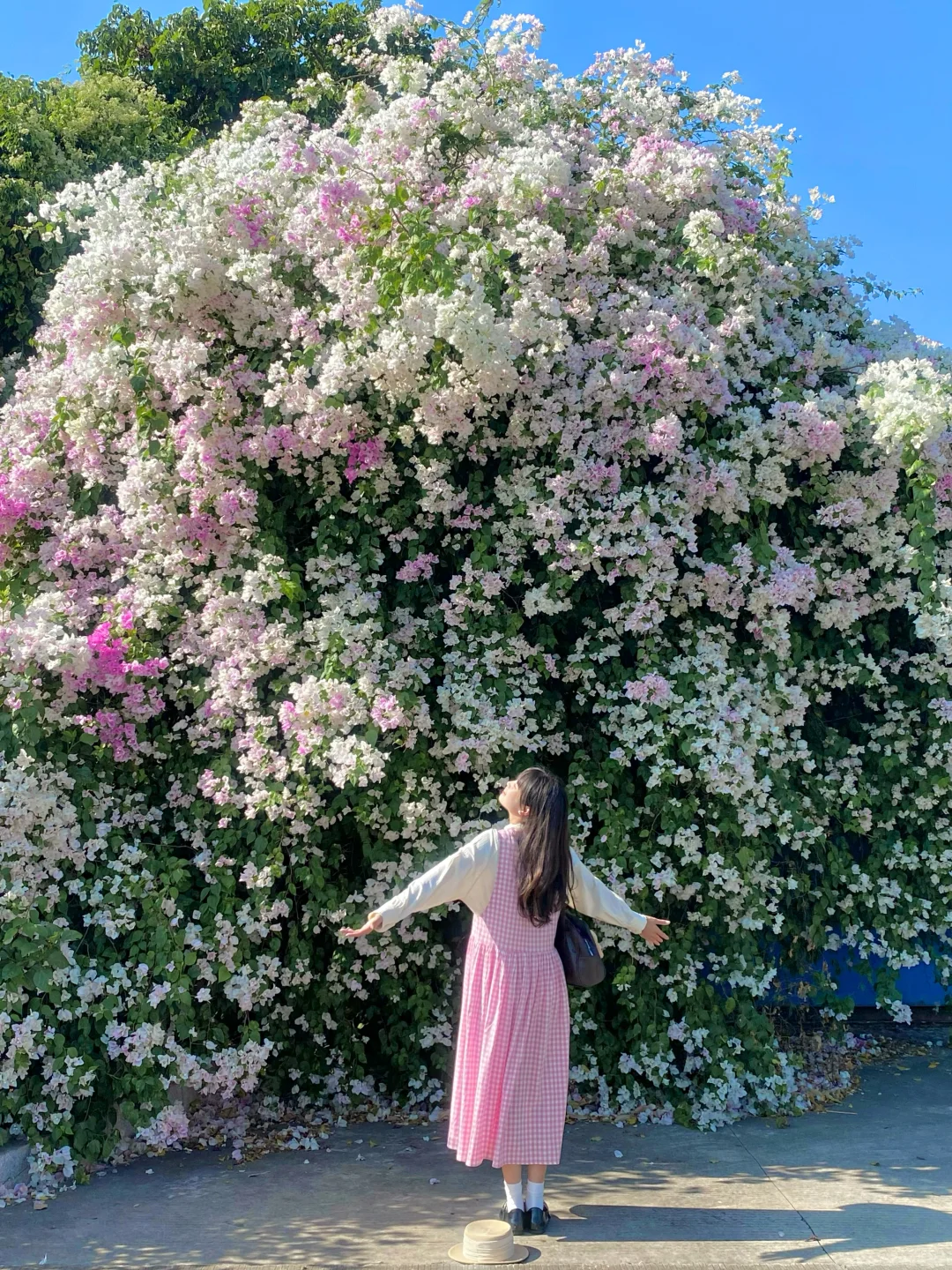 “后来我逢人便会说…🌸秋天的广州有多美！！”