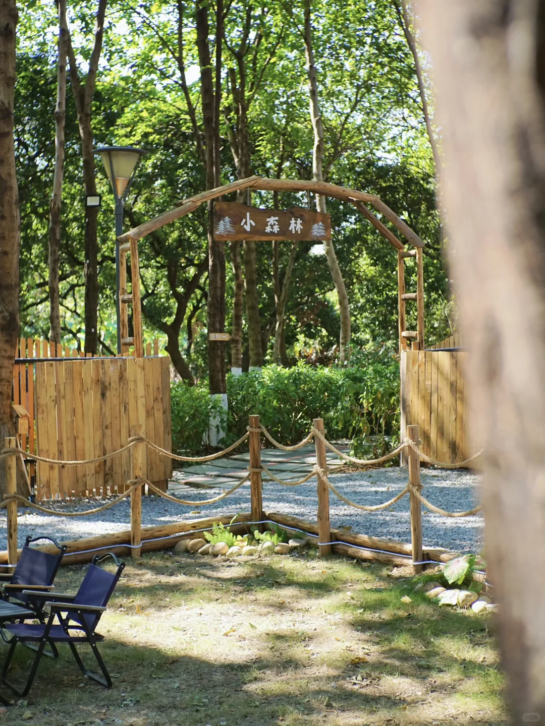 广州市区也有啦❕🐕‍🦺小狗周末露营地🏕️