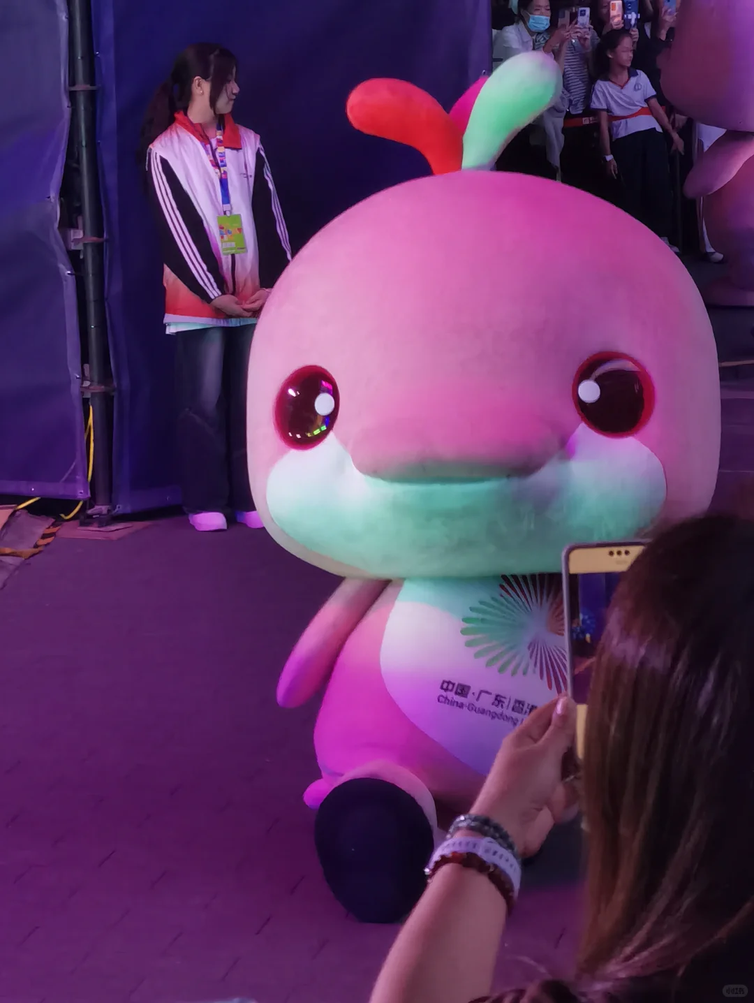 你怎么知道我今晚追鸡成功！