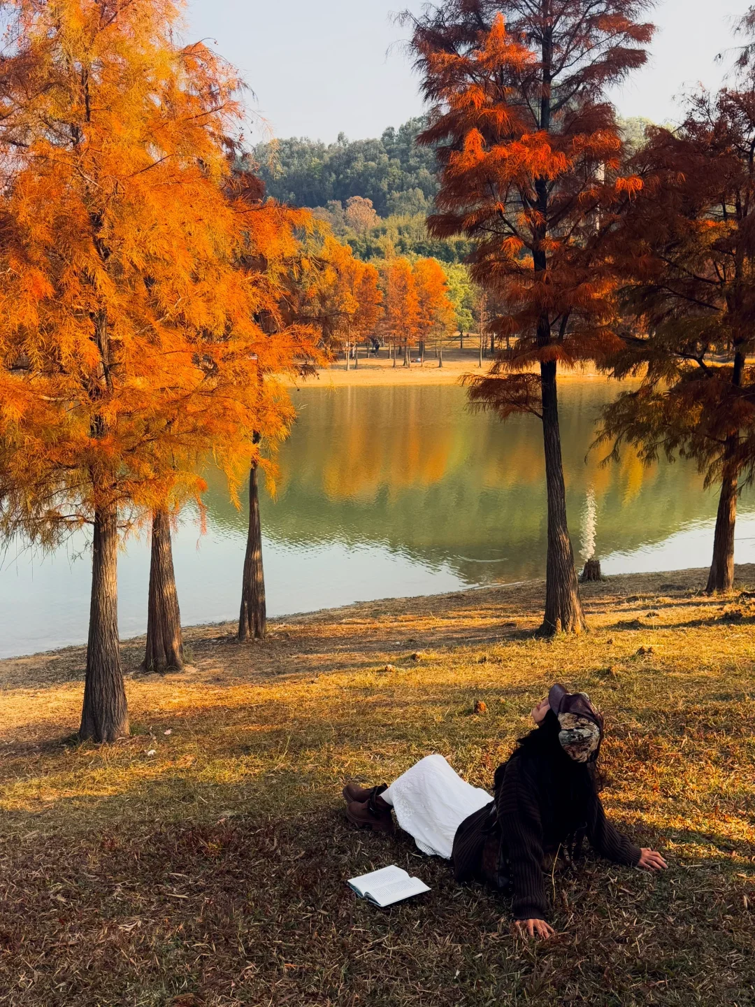 不是大理！现在的东莞美得像油画📱1.6实拍