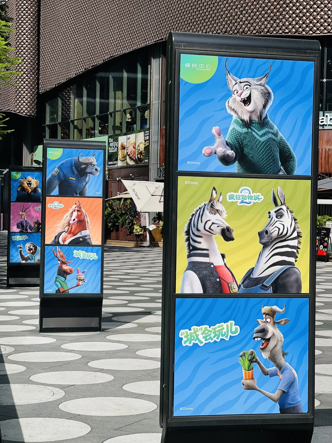 深圳卓悦中心，🐰🦊疯狂动物城来啦❗️