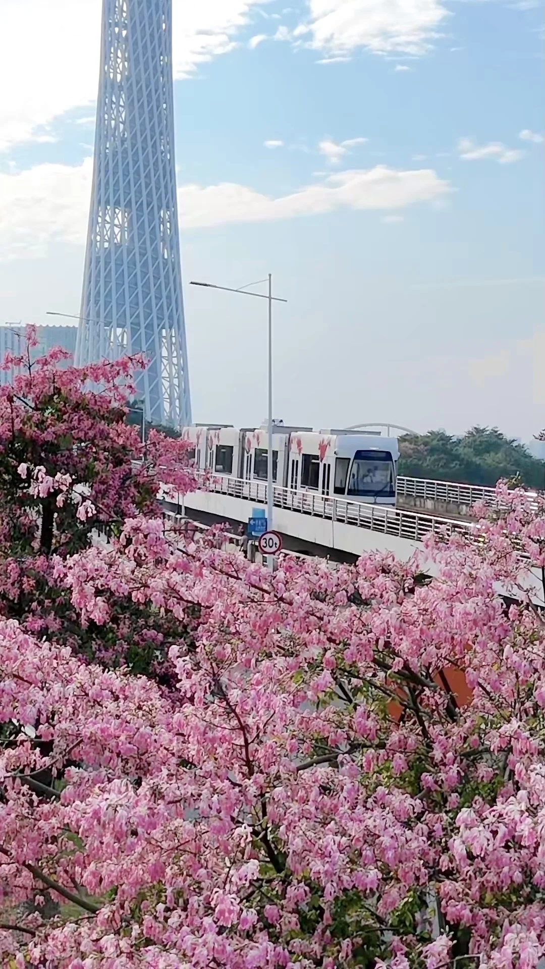 “后来我逢人便会说…🌸秋天的广州有多美！！”