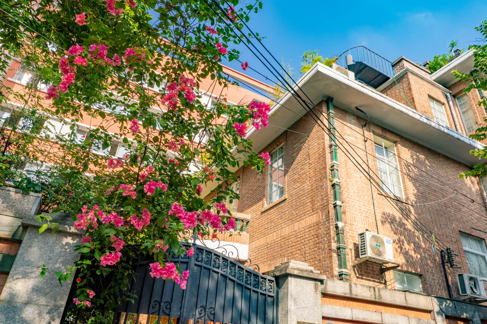 十一月，广州会让你知道为什么叫花城！