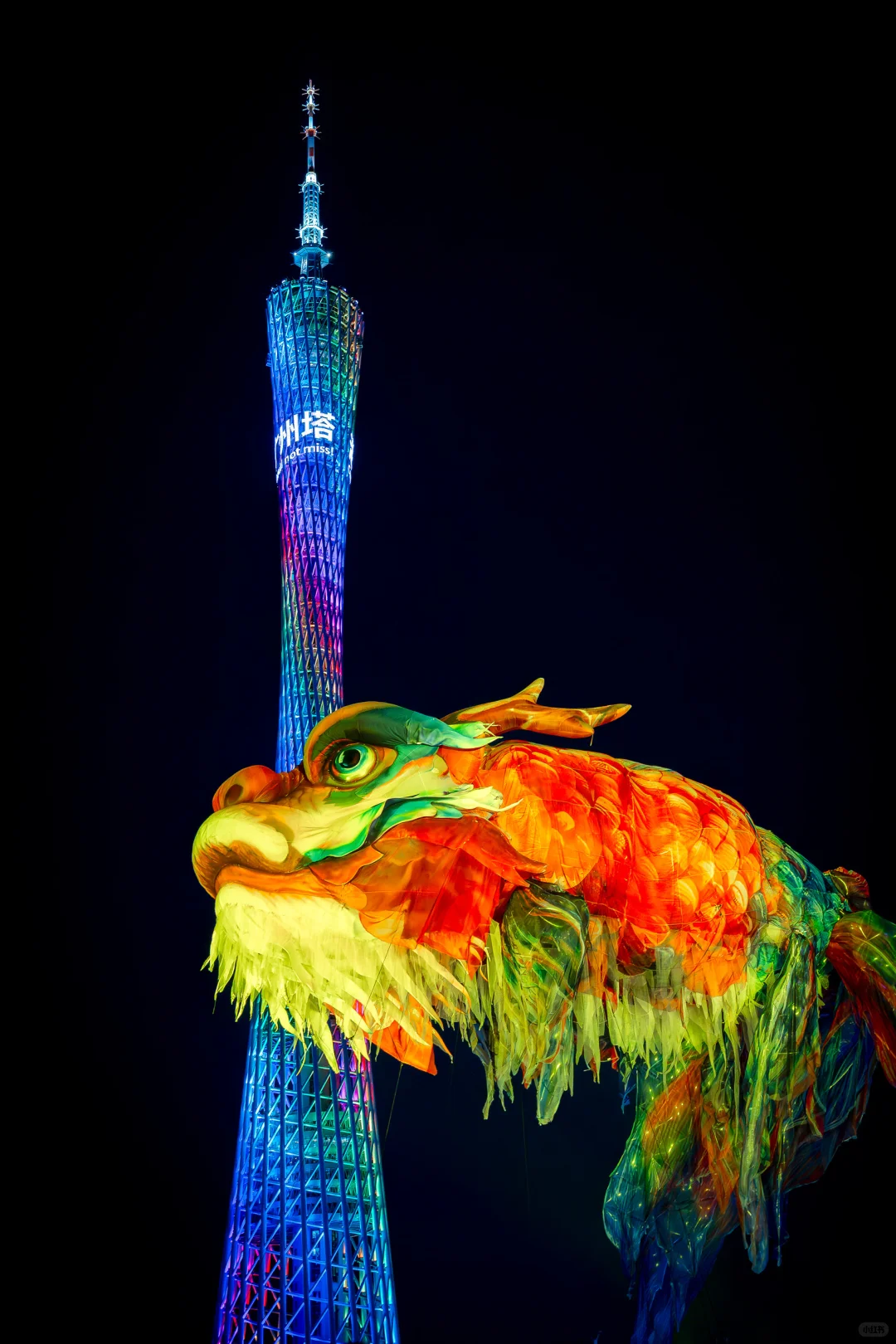 白天如瑞兽，夜晚似幻兽。广州灯光节鳌鱼超酷