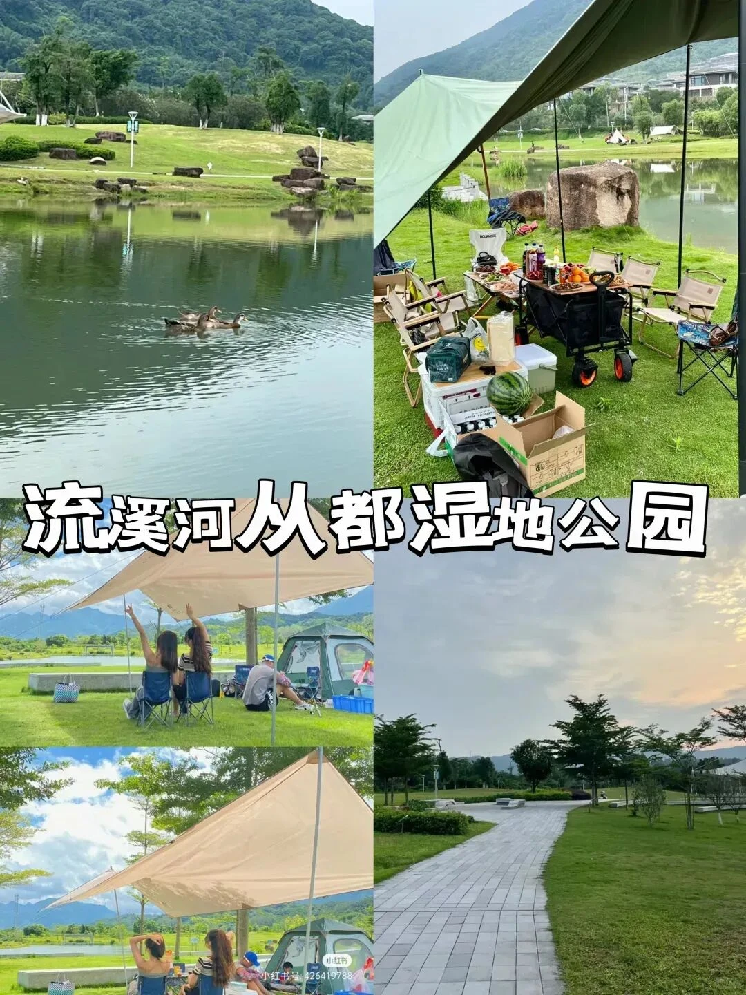 🚗广州1h直达私汤+水上乐园遛娃攻略