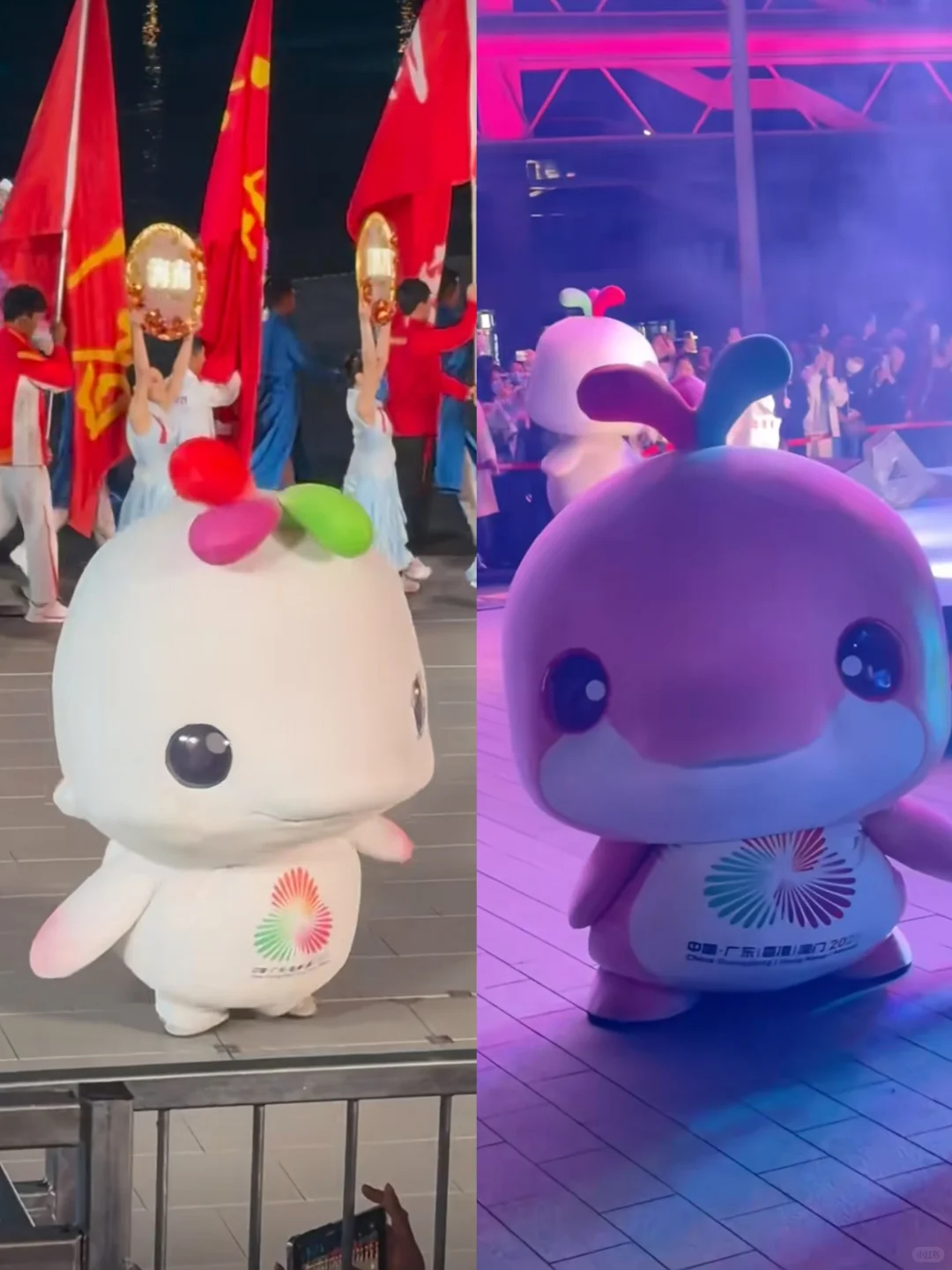 这深圳大湾鸡，有点山寨…