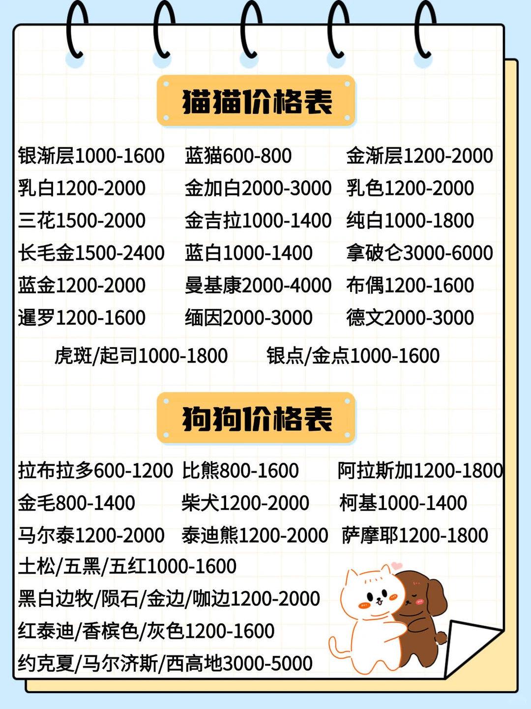 深圳大型宠物基地🔥喜欢猫猫狗狗的看过来🔥