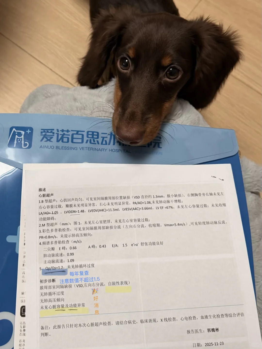 我来广州啦！带来了好消息✌️✌️✌️