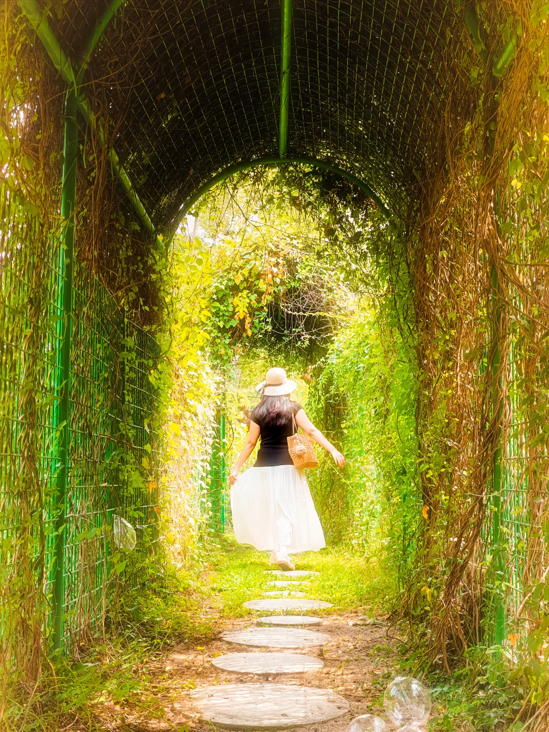 为了这九张图，我特地来了趟广州