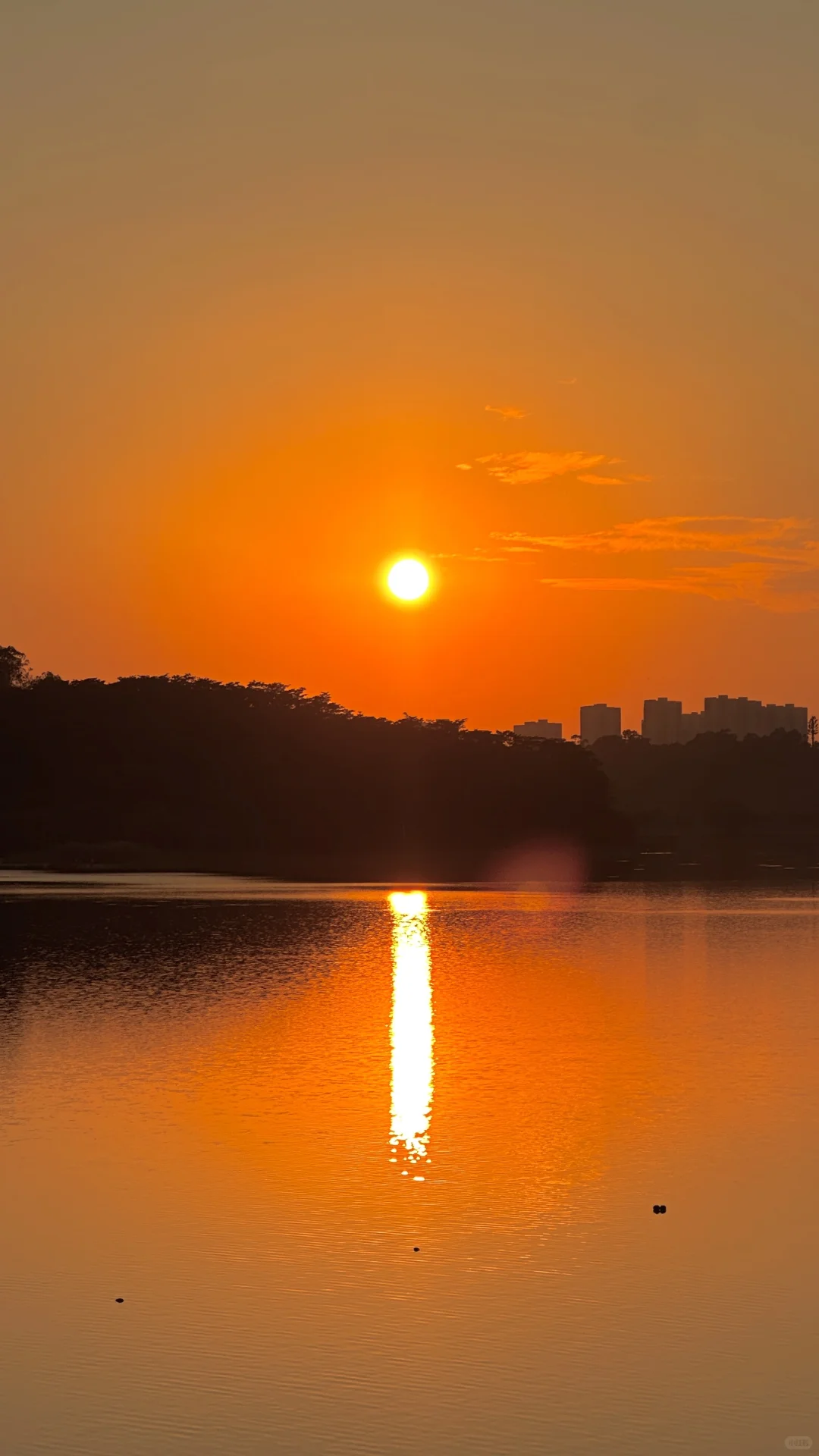 🏕️ 东莞也有属于自己的“小洱海”