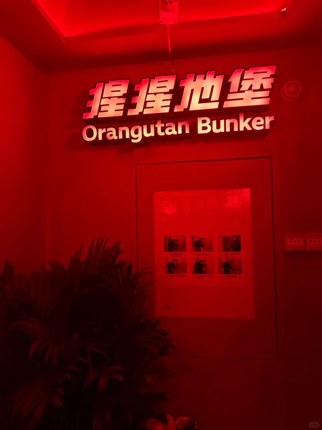 全东莞潮人都往这扎堆！猩猩地堡太顶了🔥