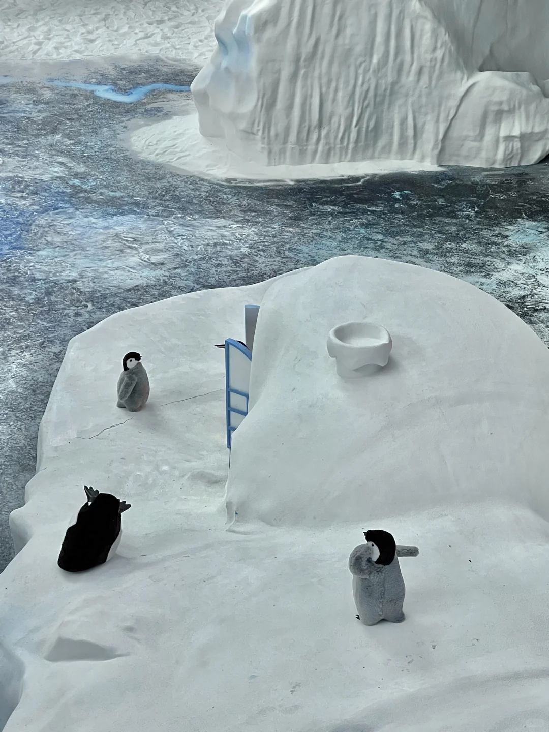 深圳不要钱的雪景随便拍，好浪漫呀❄️❄️