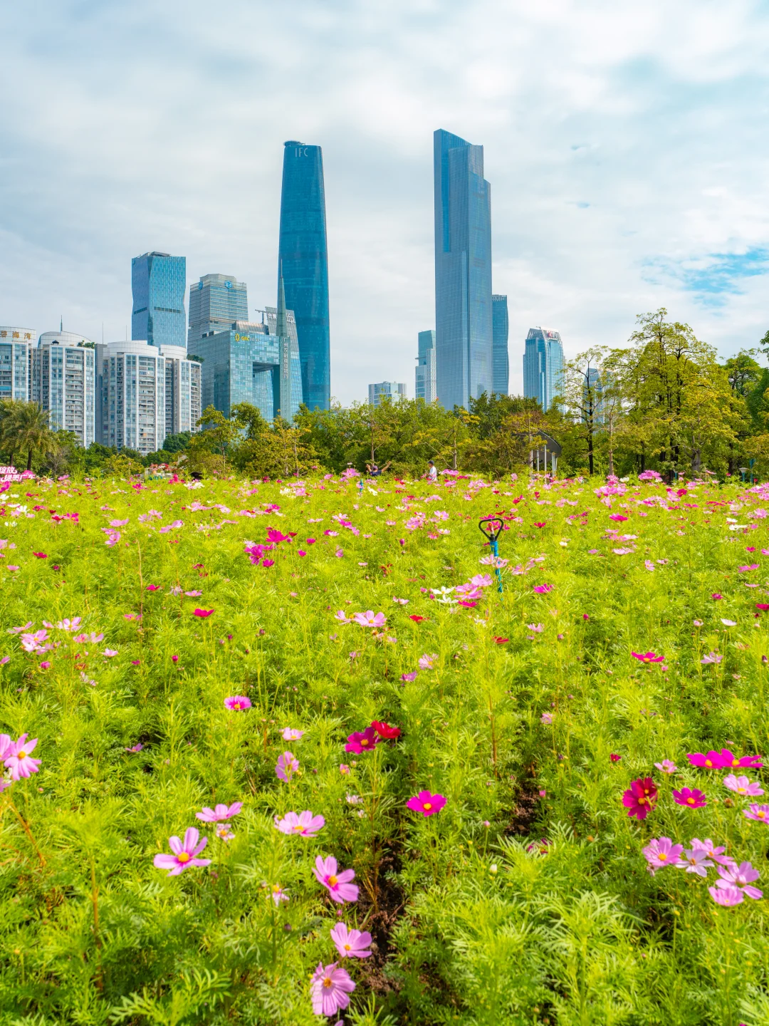 十一月，广州会让你知道为什么叫花城！