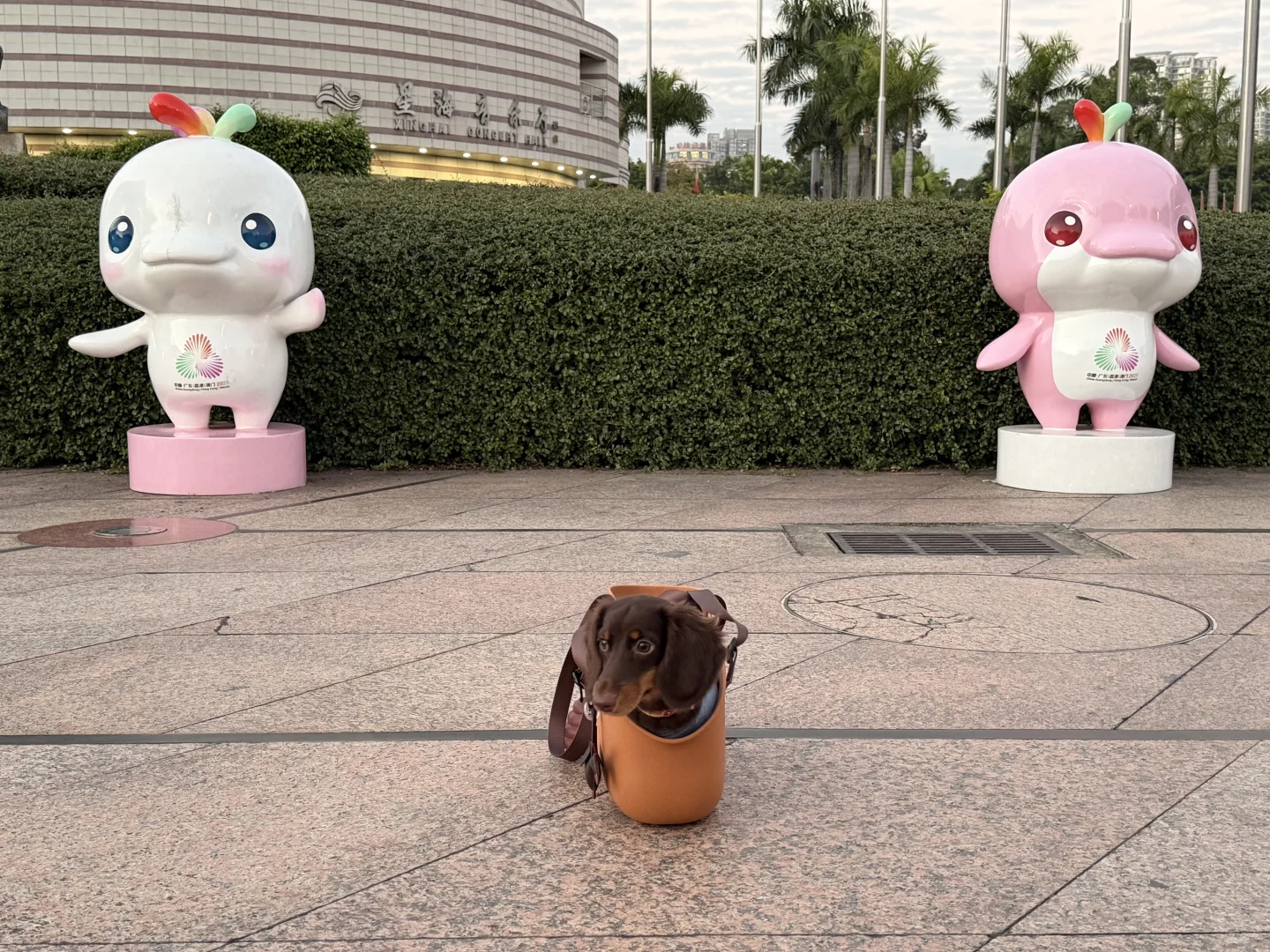 我来广州啦！带来了好消息✌️✌️✌️