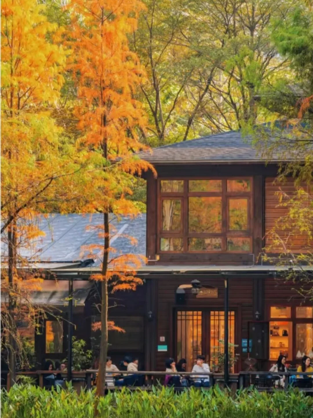 “后来我便逢人就说…冬天的广州有多美‼”