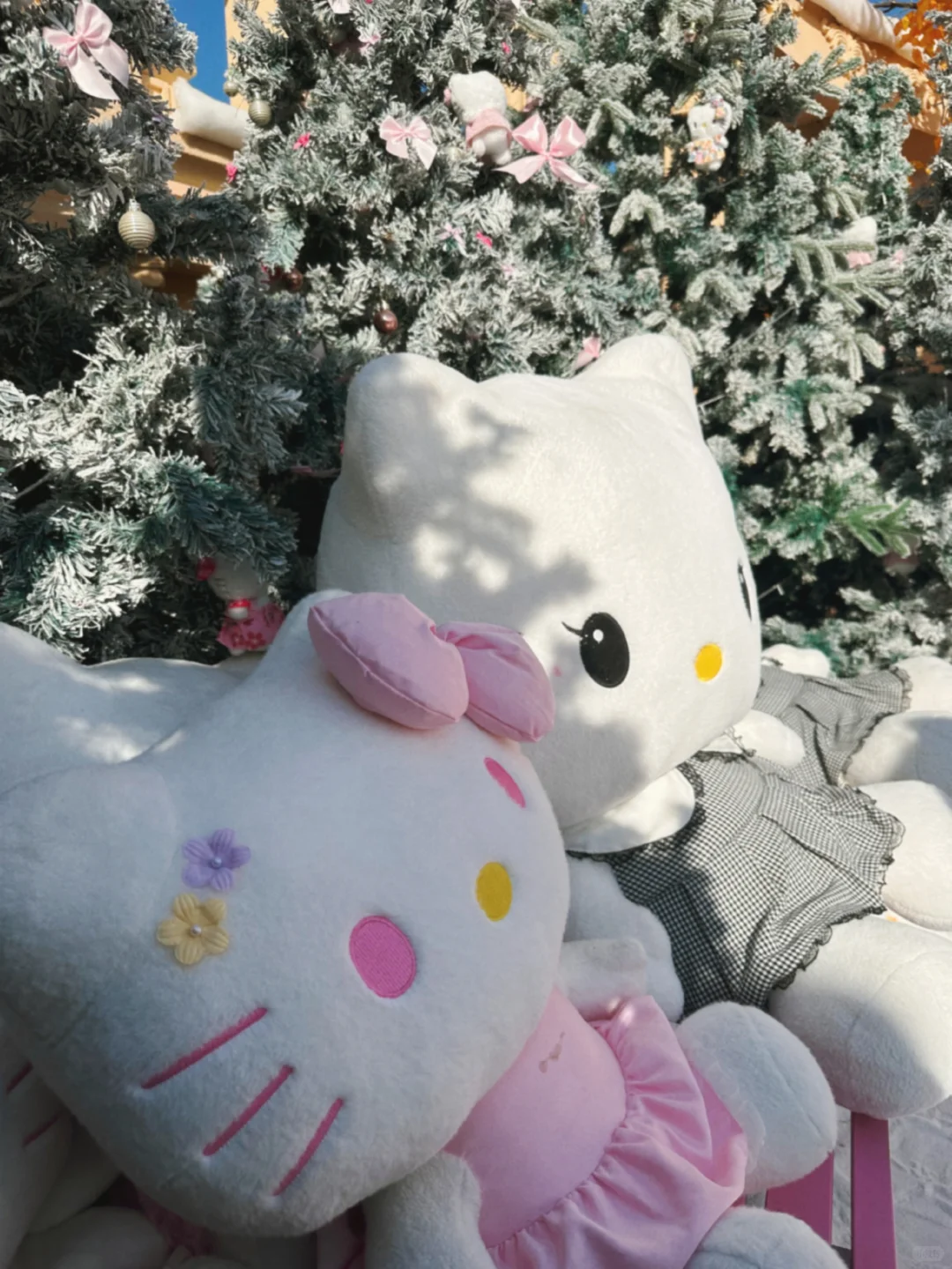 📍东莞探店｜最好拍的秋天