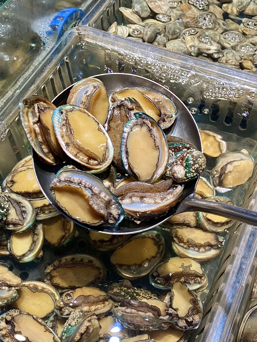 广州真的能轻松回本的海鲜自助。。。