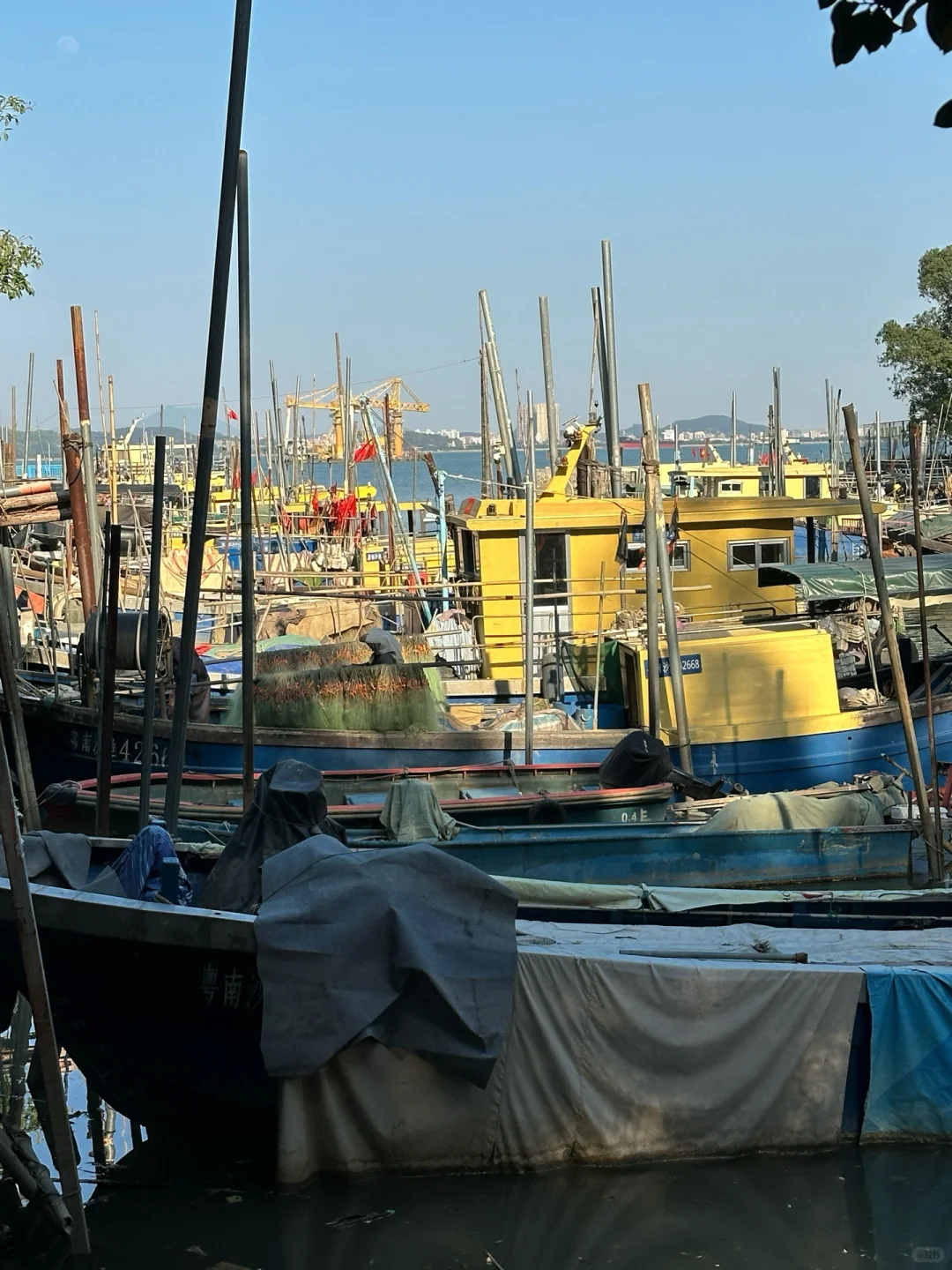 广州📍南沙 地铁直达看海 一日citywalk🏝️