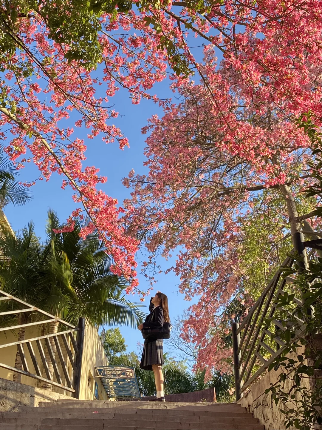 “后来我逢人便会说…🌸秋天的广州有多美！！”