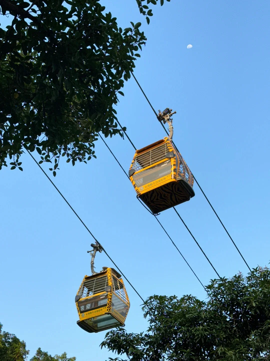 去了广州长隆6次，要去的一定要听劝！！！