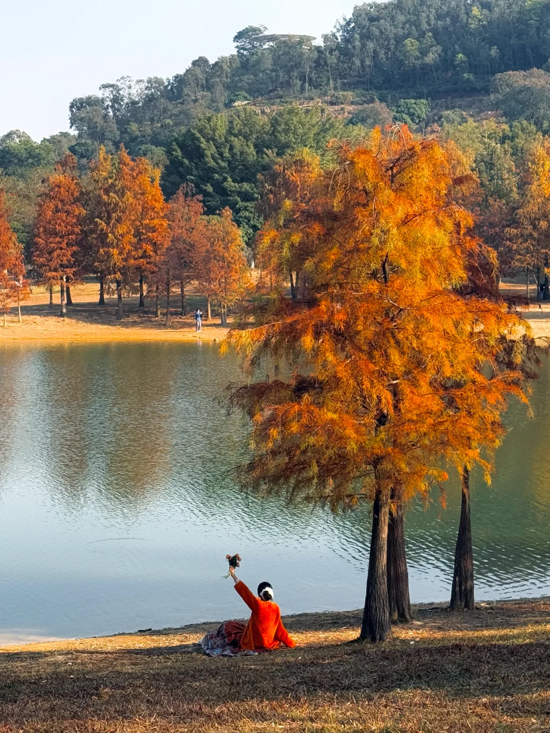 不是大理！现在的东莞美得像油画📱1.6实拍