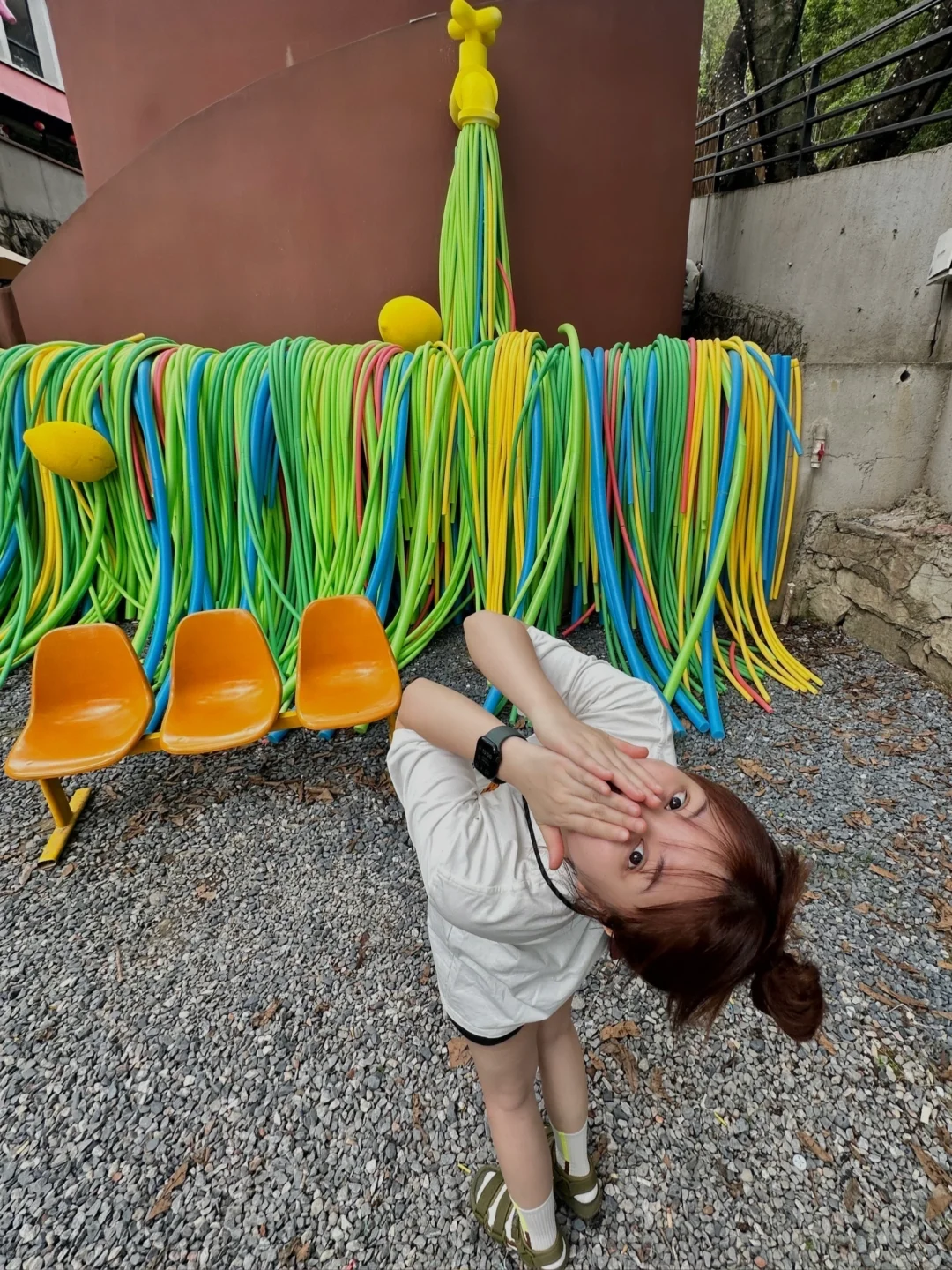 淡人 独处 东莞树景玻璃屋发呆1h恢复能量