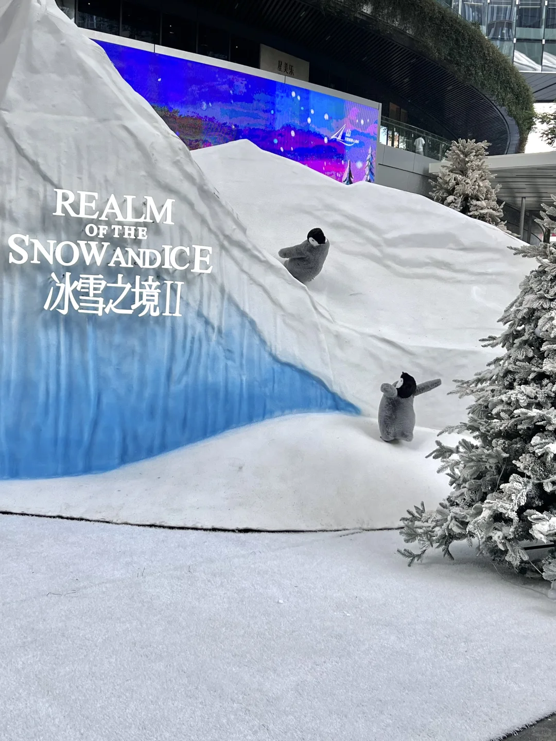 深圳不要钱的雪景随便拍，好浪漫呀❄️❄️