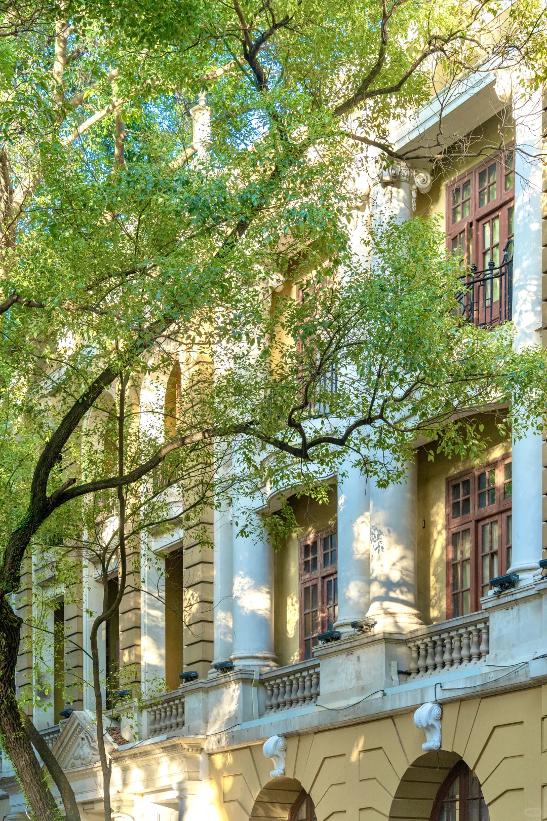 以为广州塔很美了，直到我去了广州沙面‼️