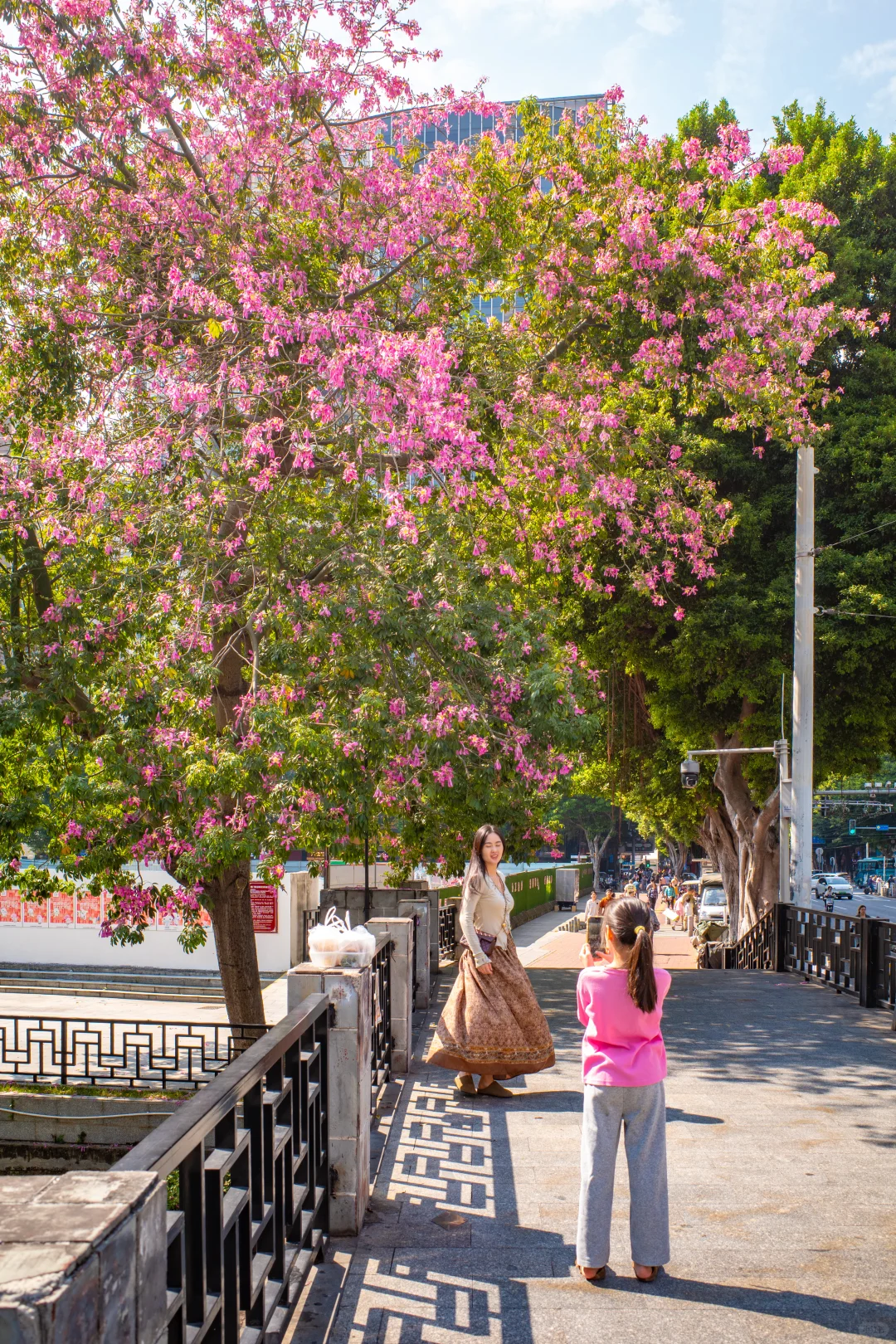 十一月，广州会让你知道为什么叫花城！