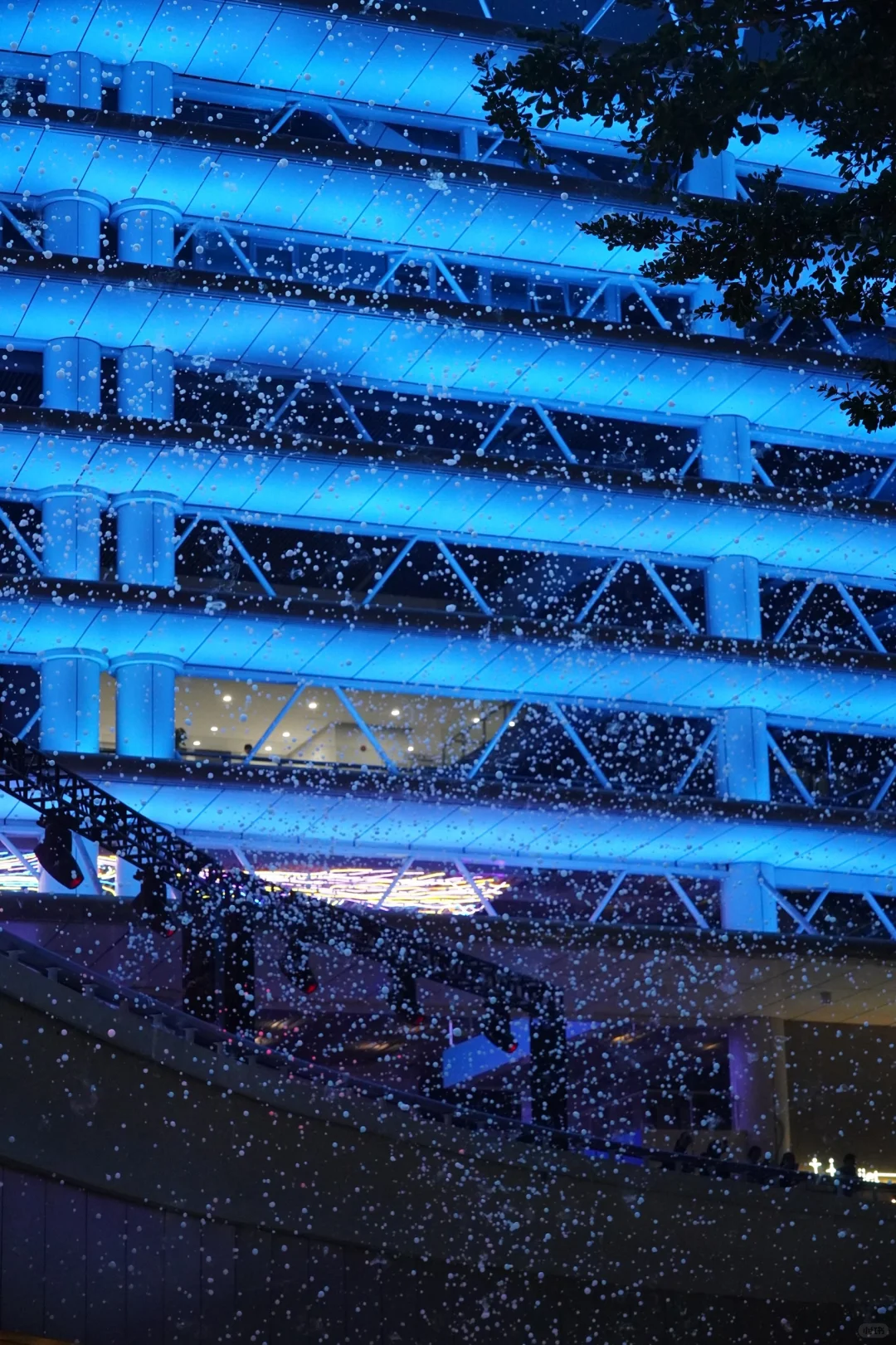 广州鳌鱼出差深圳！灯光节版本已成限定款！😎