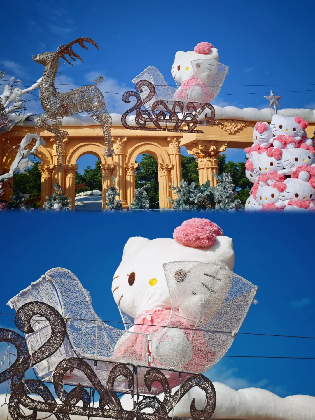 📍东莞探店｜最好拍的秋天