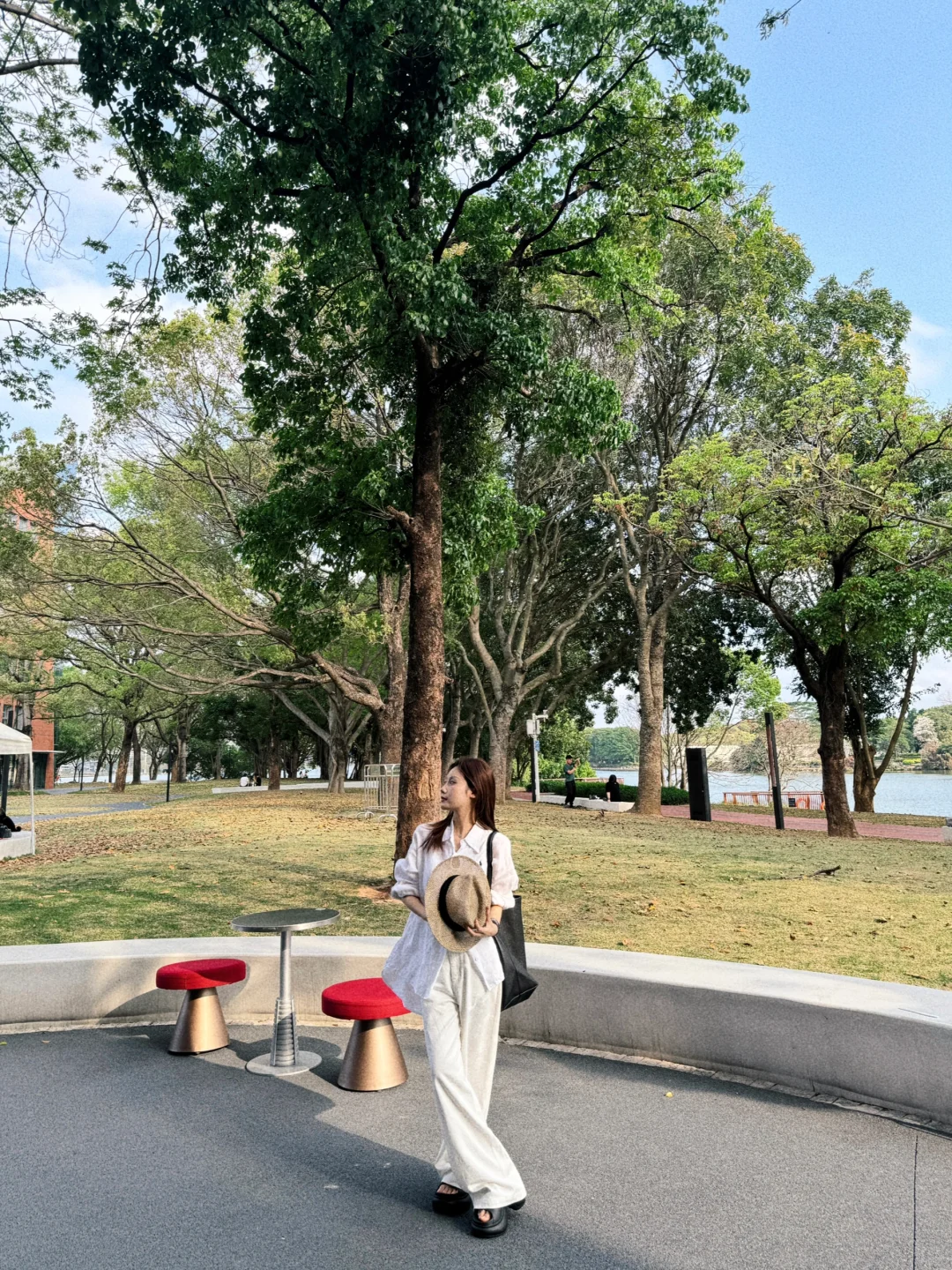 树下 我是我的春天📖🌳