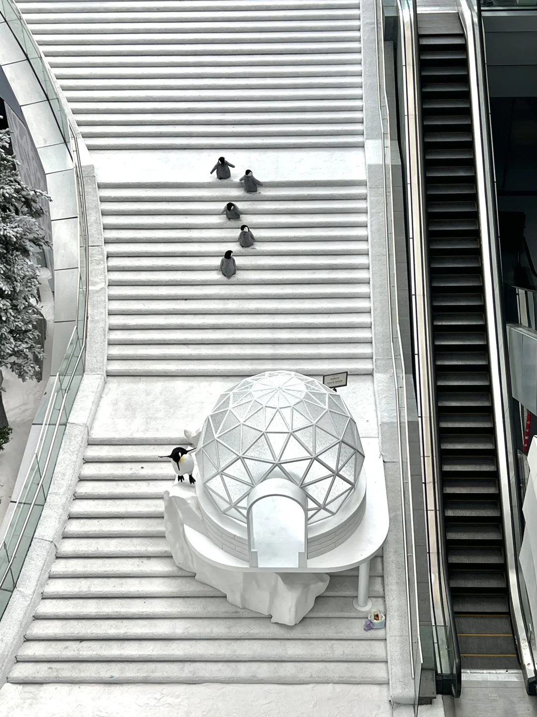 深圳不要钱的雪景随便拍，好浪漫呀❄️❄️