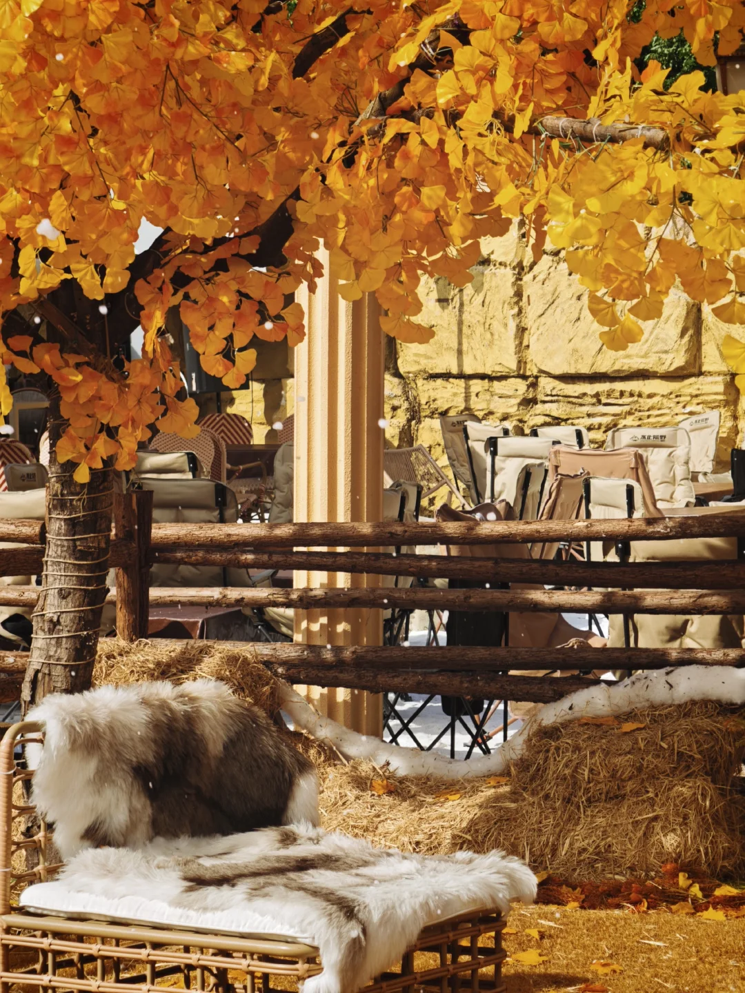 📍东莞探店｜最好拍的秋天